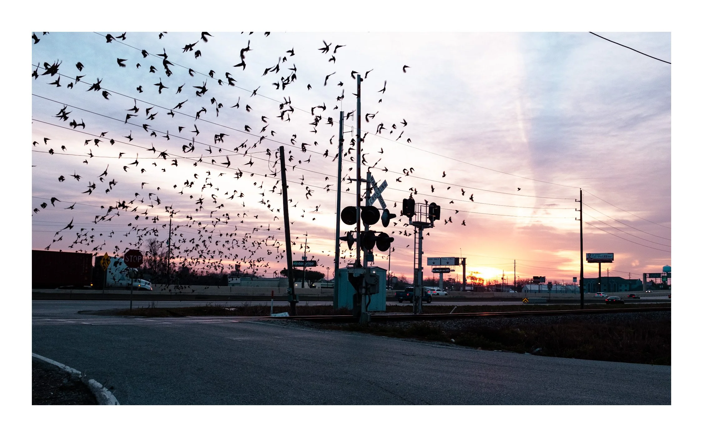A sunset scene with a flock of birds flying over a railroad crossing and highway, with traffic, signs, and power lines visible.