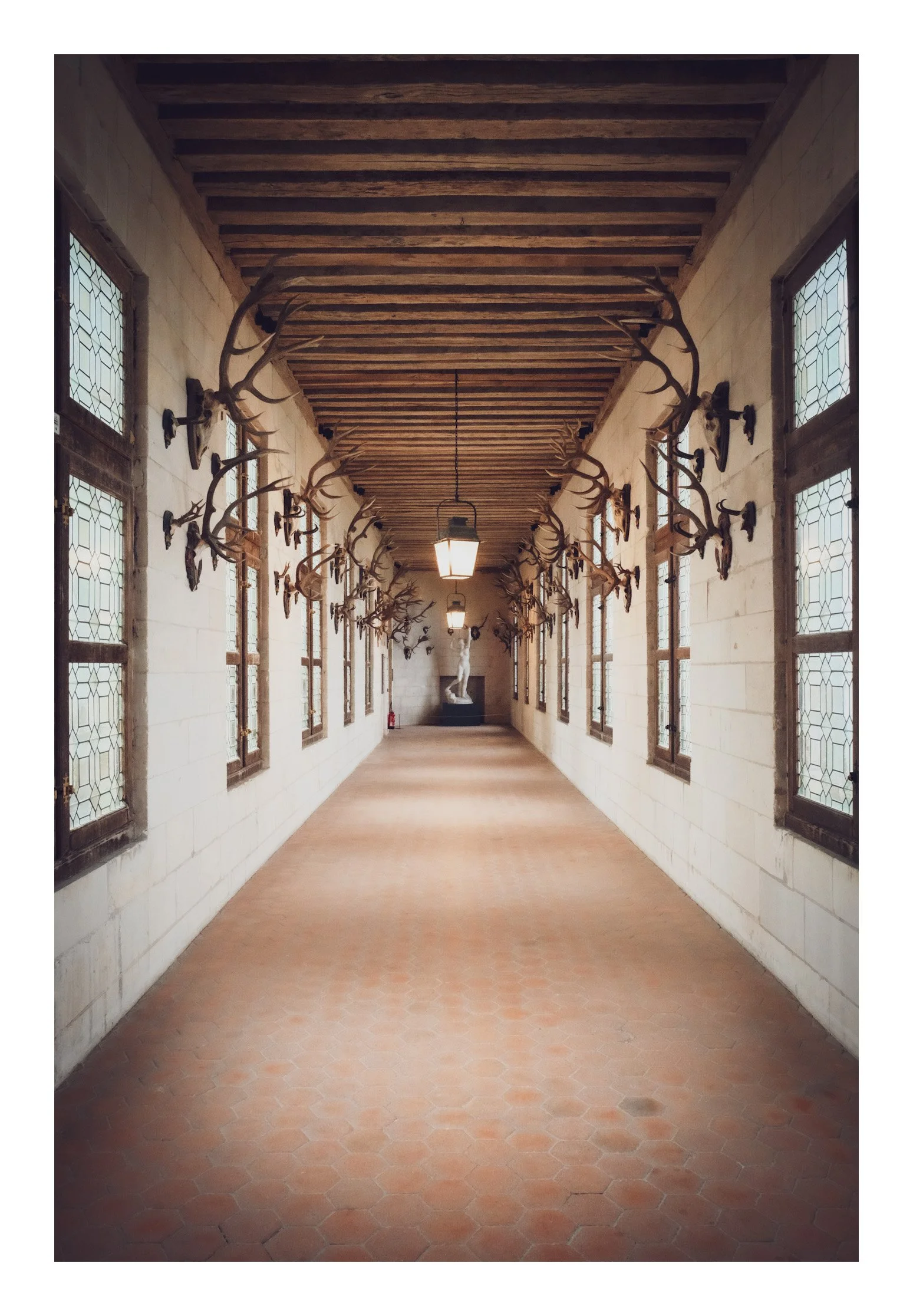 Empty corridor with white brick walls, wooden ceiling, hanging lamps, and mounted deer antlers along the sides.