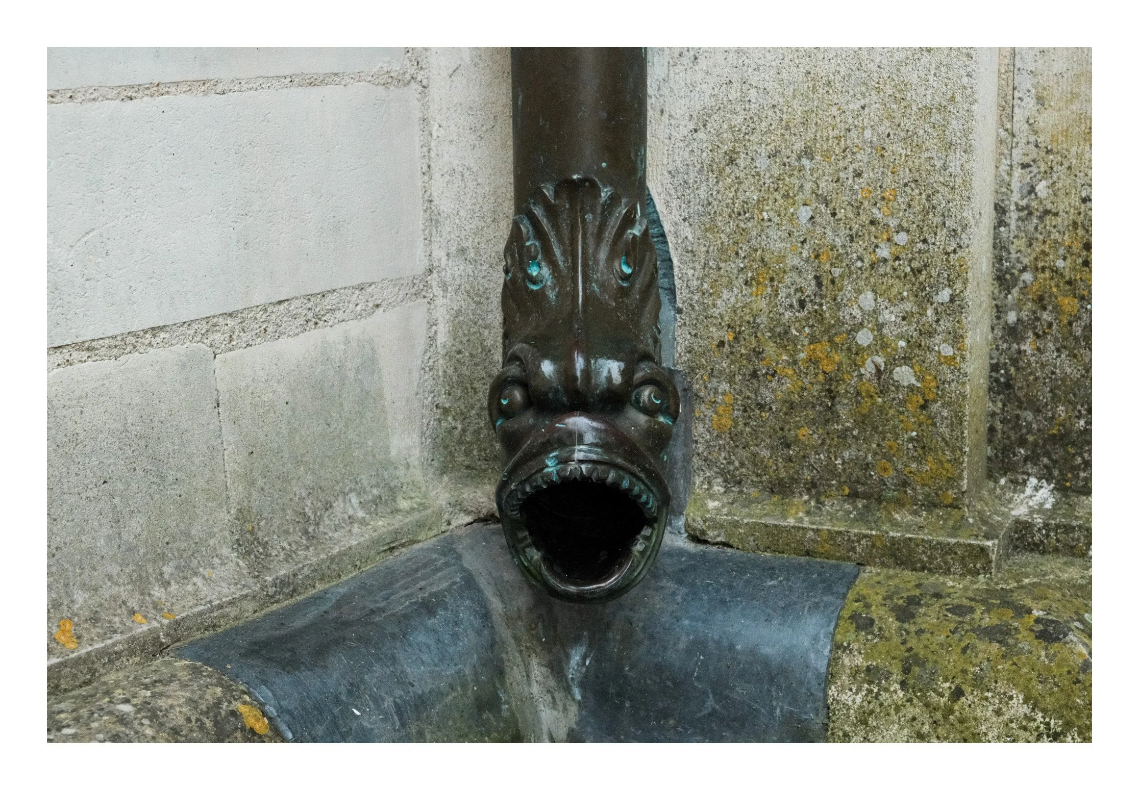 A decorative metal water spout shaped like a fish or dragon head mounted on a stone wall, with water flowing from its mouth.