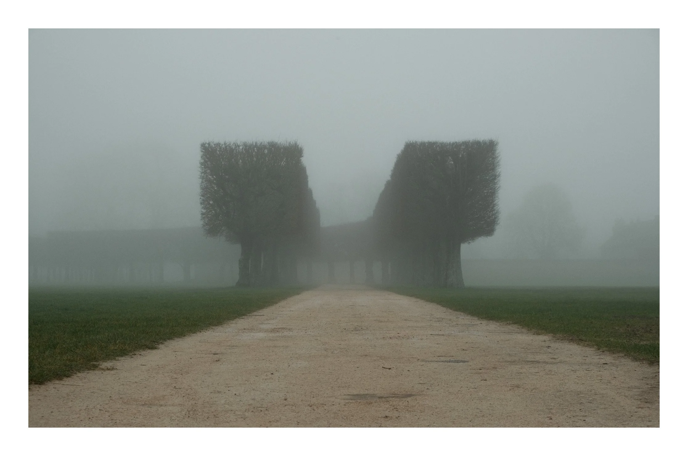 A foggy landscape with a dirt path leading to large, rectangular-shaped trees with neatly trimmed tops on either side.