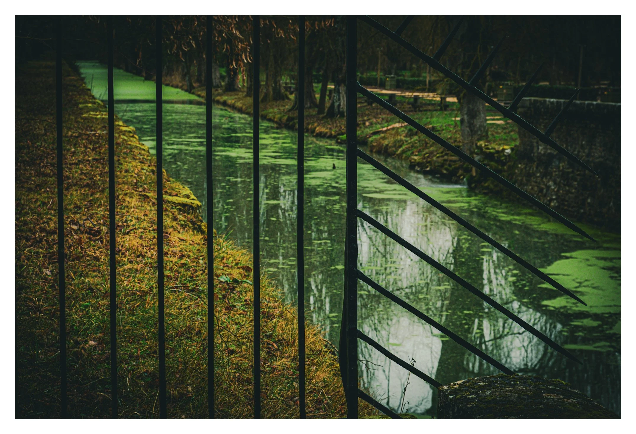 View of a canal with green water, seen through a black metal fence with vertical bars and a diagonal railing, surrounded by lush trees and mossy banks.
