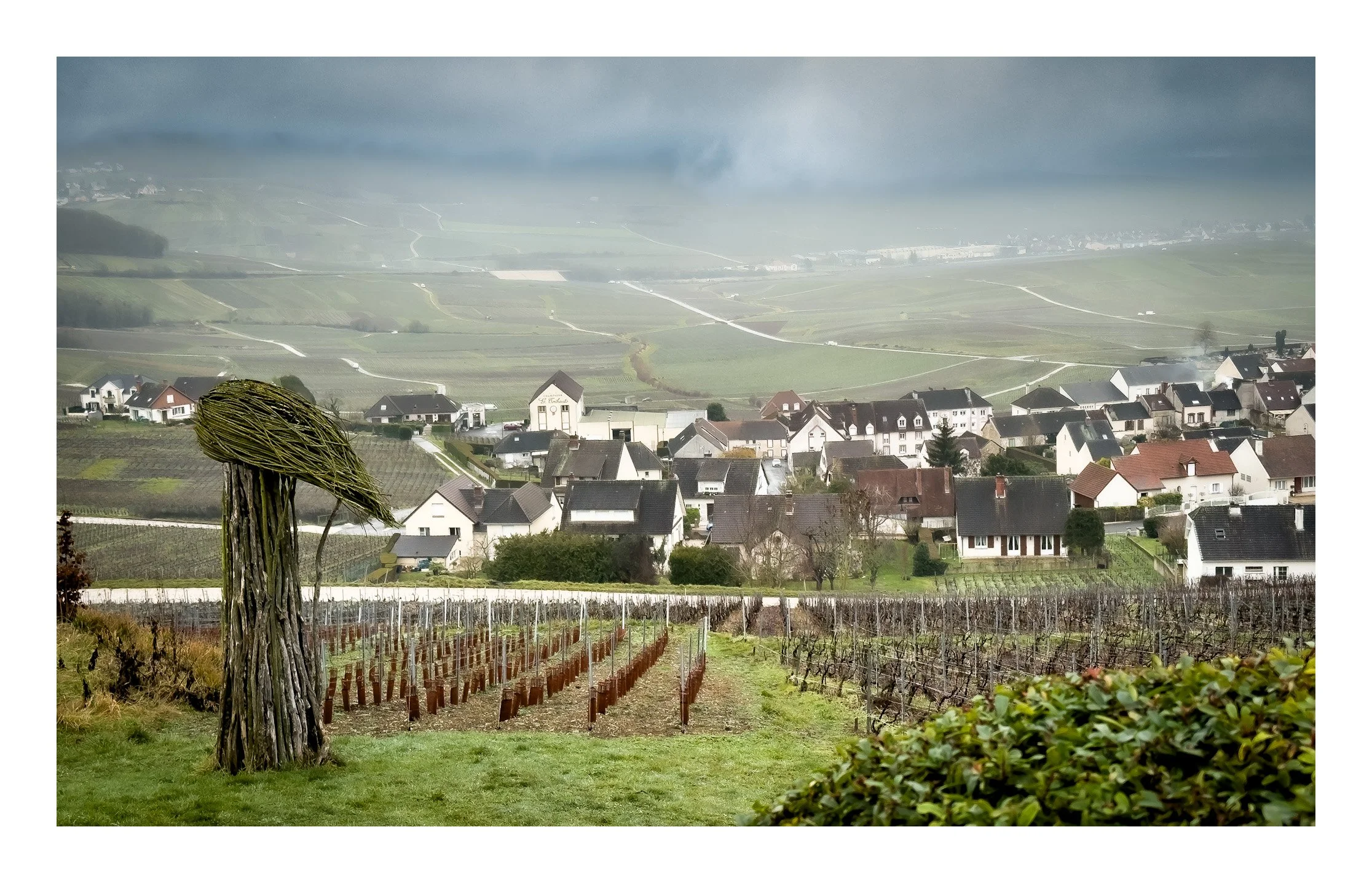 Vineyard with a weathered wooden sculpture in the foreground and a village with houses and vineyards in the background under cloudy sky.