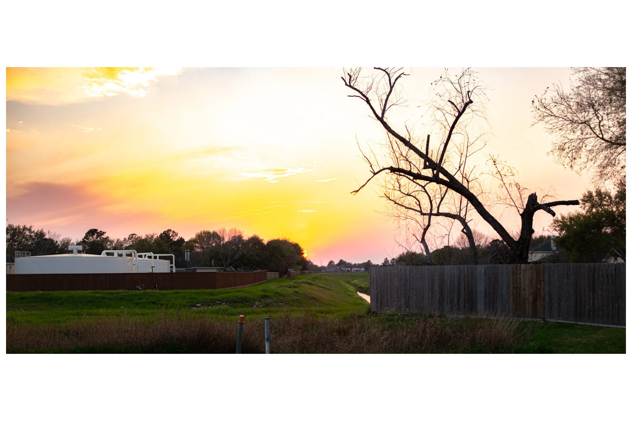 Sunset over a suburban area with a green grassy field, a water canal, a leafless tree, and residential houses in the distance.