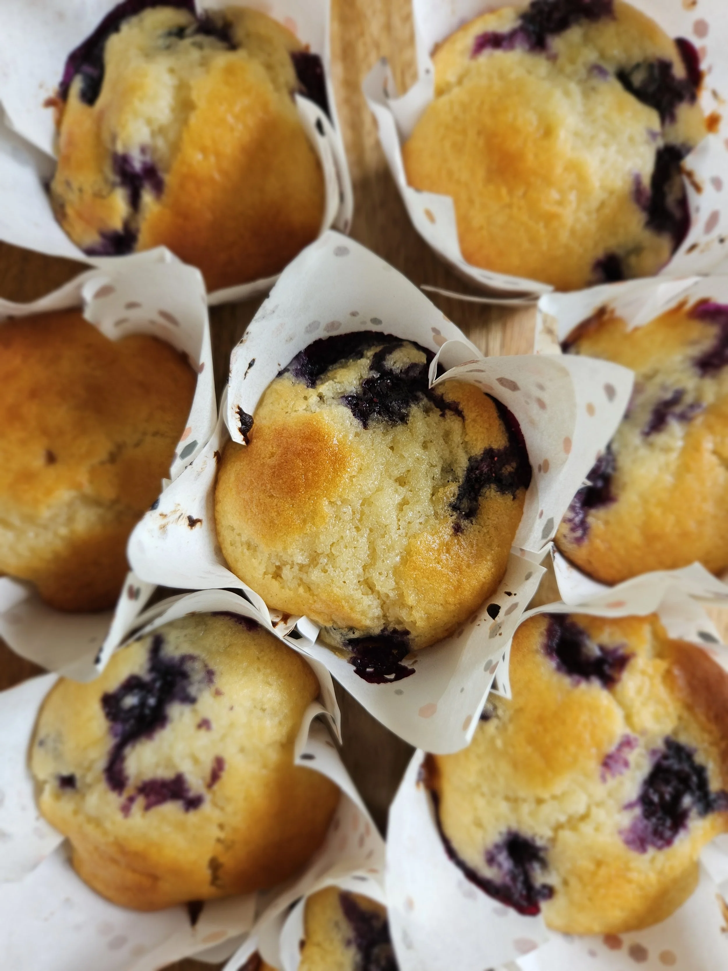 Blueberry Muffin