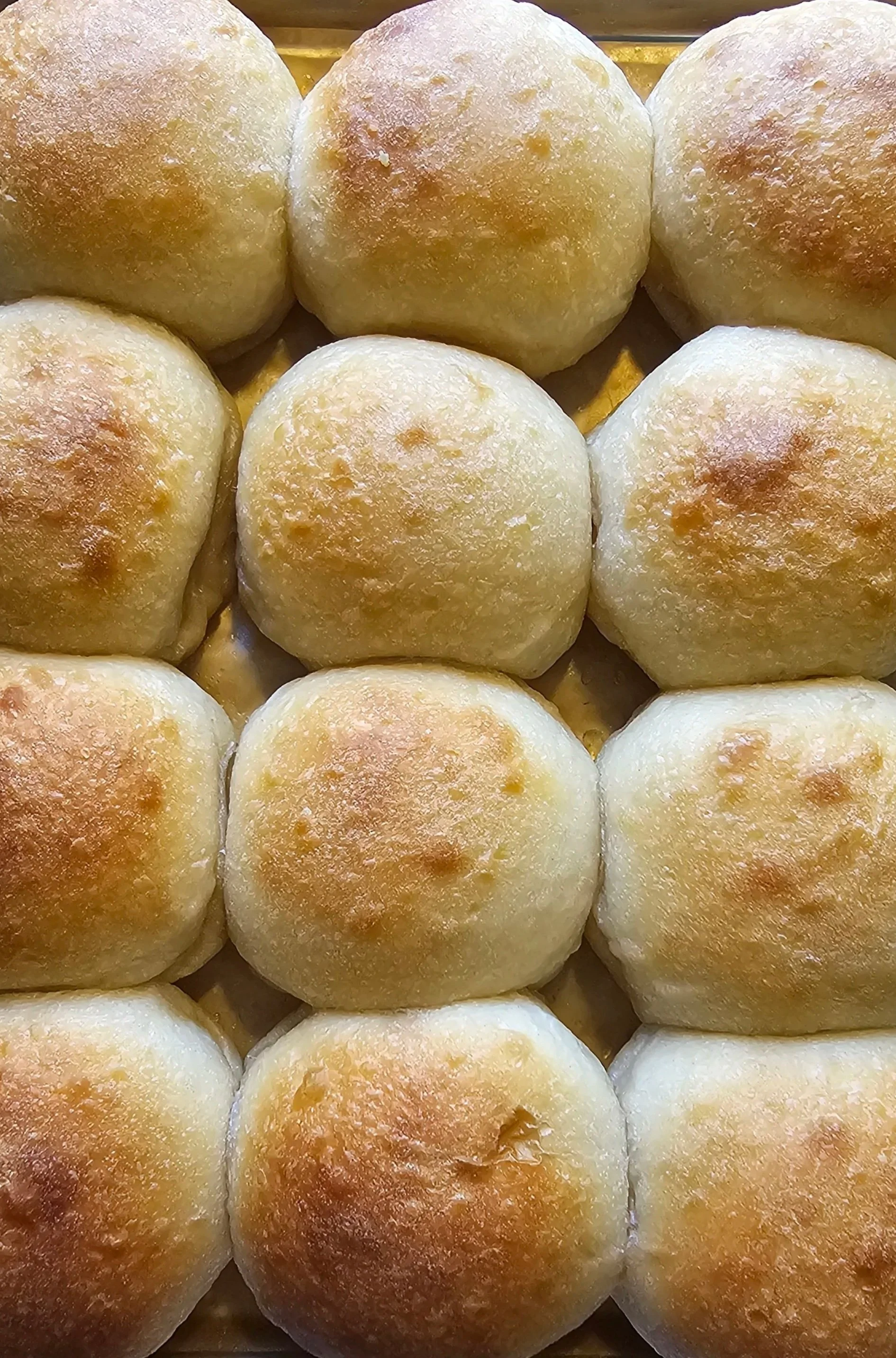 Sourdough Butter Rolls