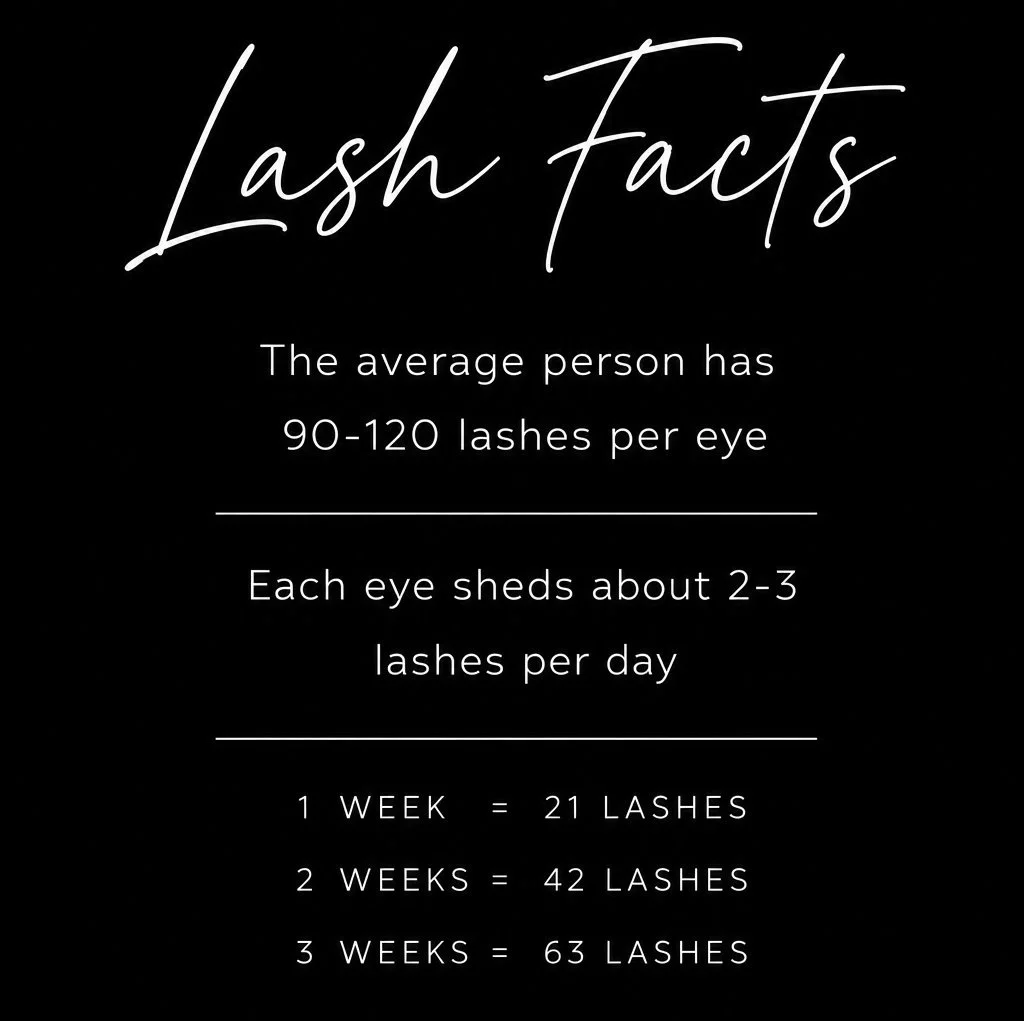 Lash Facts infographic explaining natural eyelash shedding: 90–120 lashes per eye, with 2–3 lashes typically shed each day