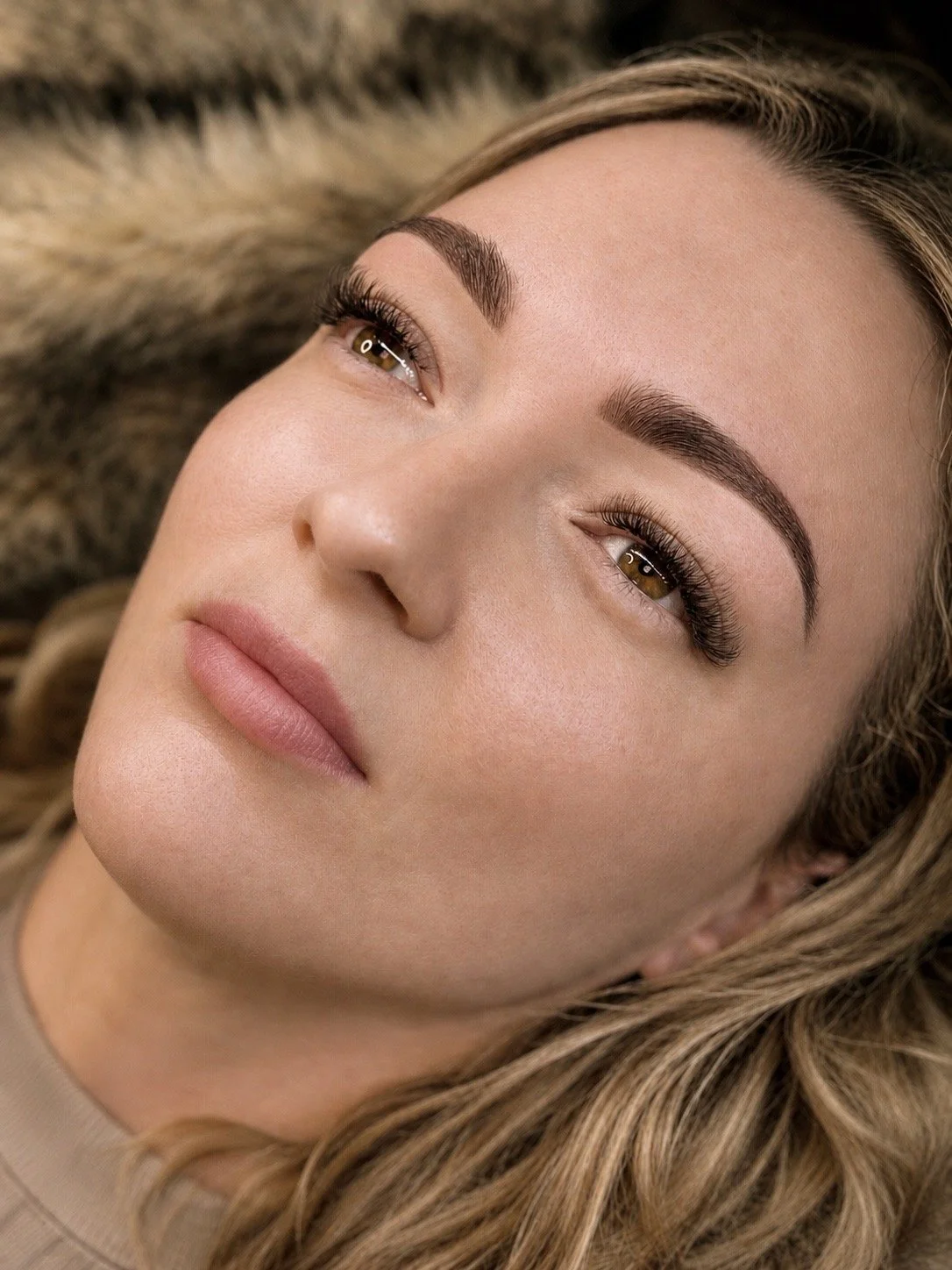 Signature Brows HD