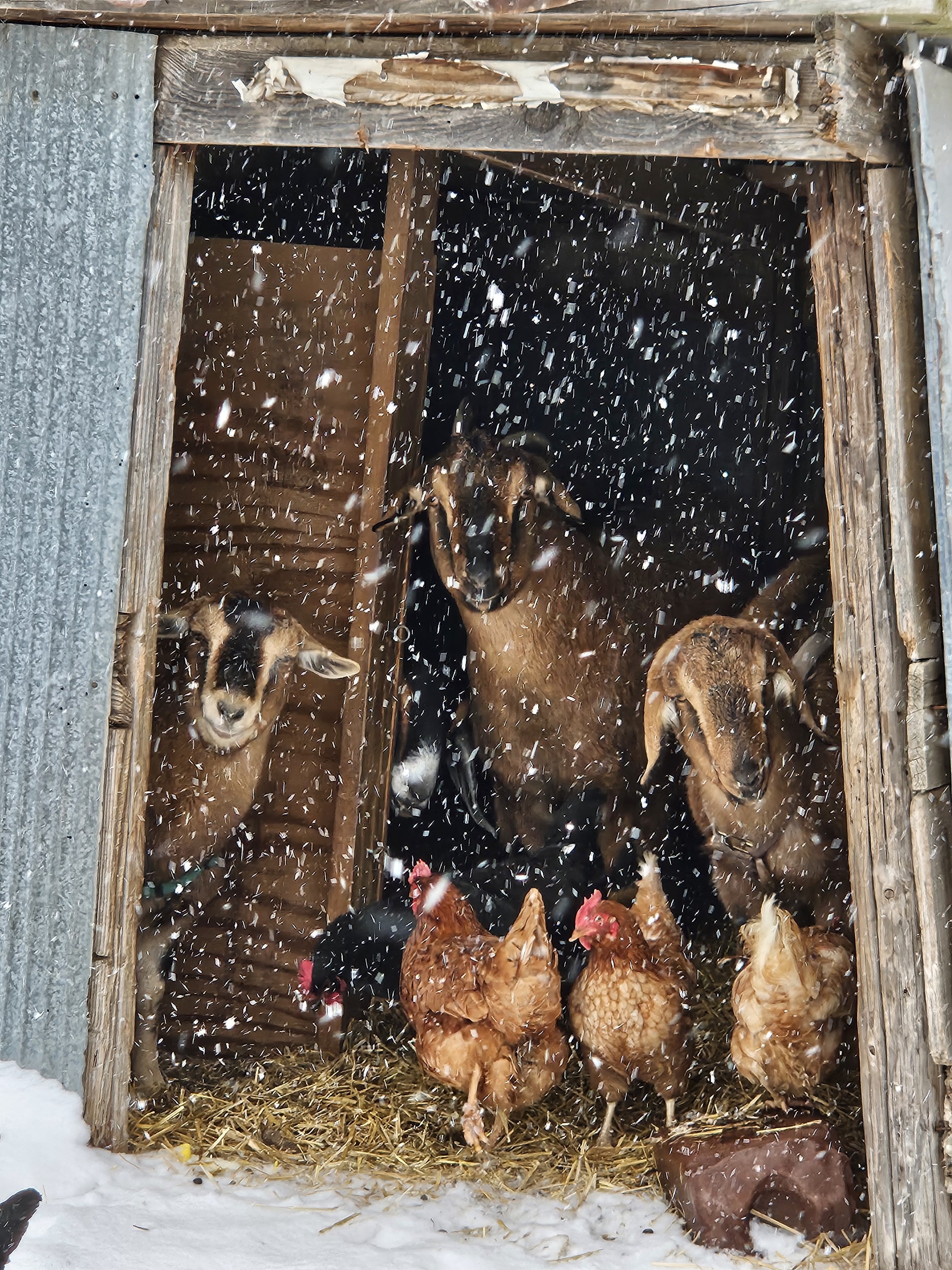 Waiting on Spring, Working Through Winter