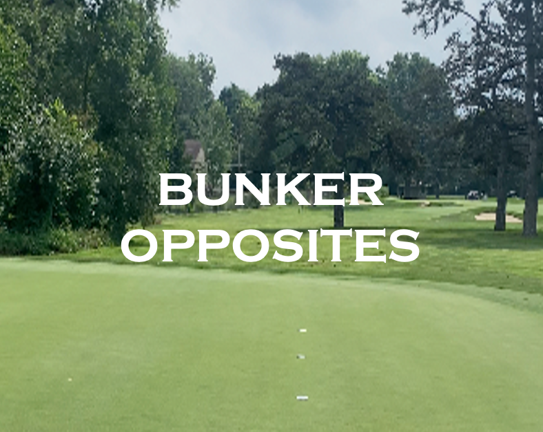 Screenshot 2025-08-10 at 9.11.06 PM.png