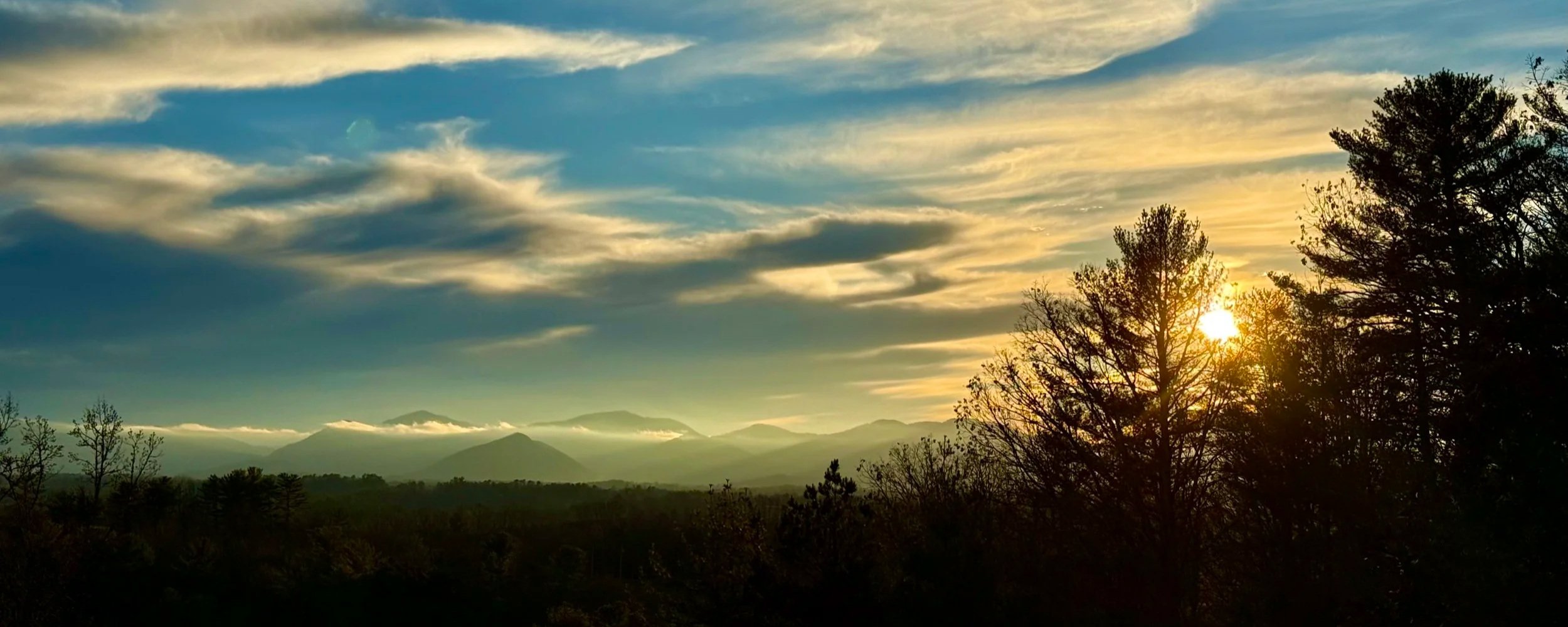 Sachter Photography