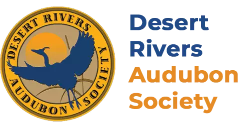 Telling the Story of Arizona’s Birds: COMMS/NATION Partners with Desert Rivers Audubon Society