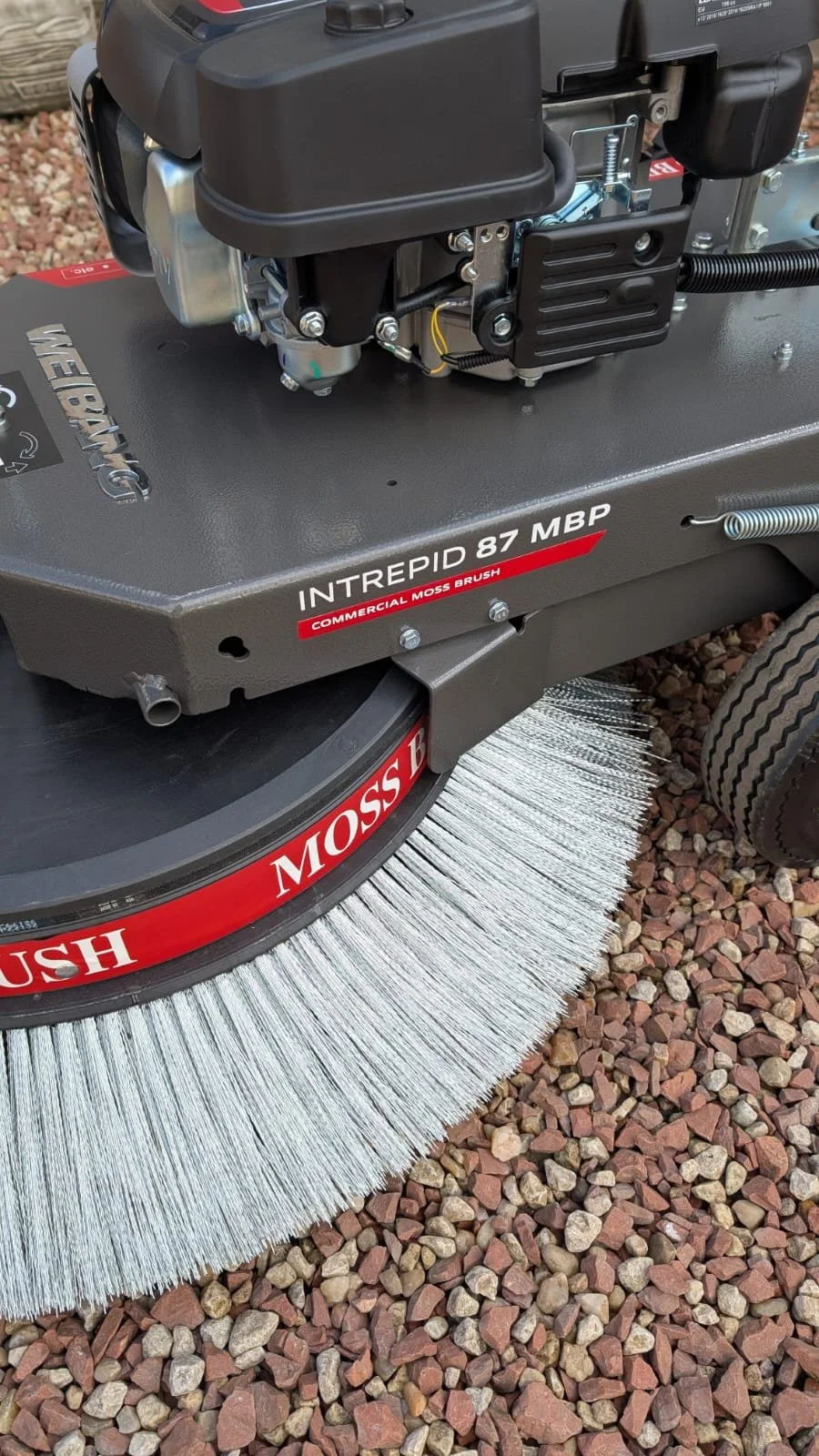 PHOTO-2026-04-10-11-32-46 4.jpeg