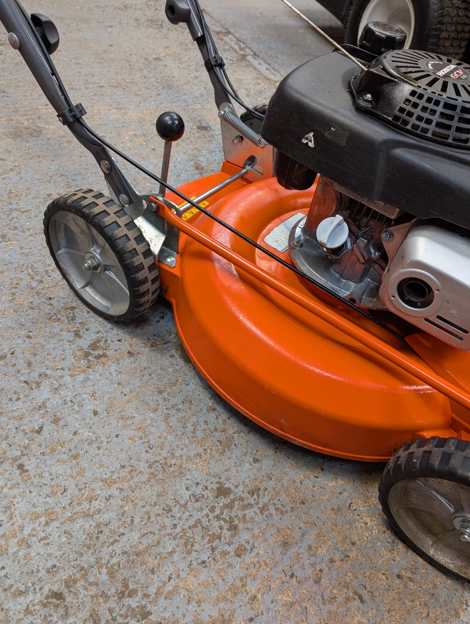 PHOTO-2025-11-03-11-16-08 2.jpg