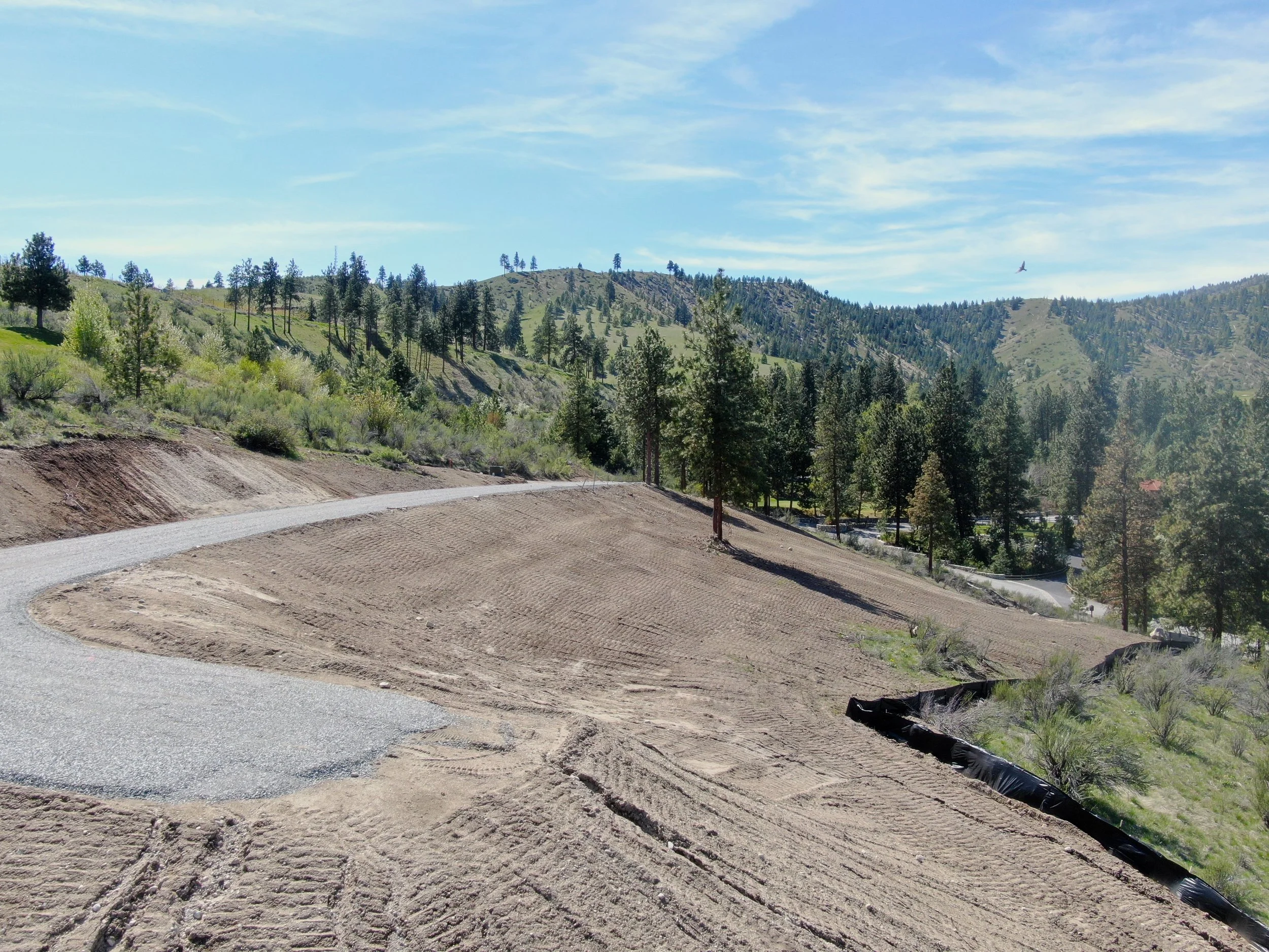 12 DJI_0110.JPG