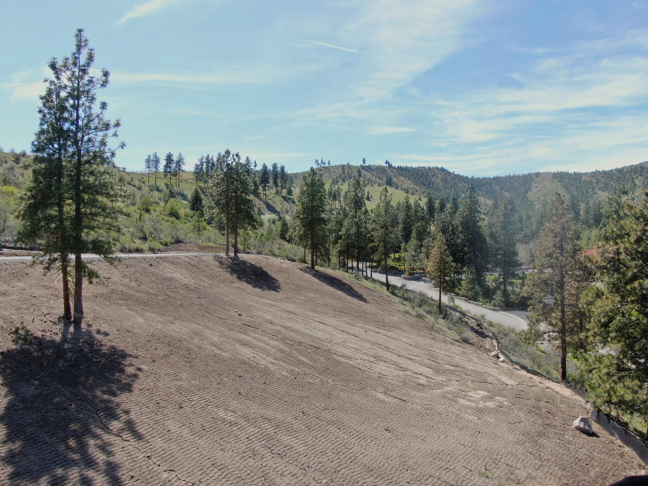 13 DJI_0111.JPG