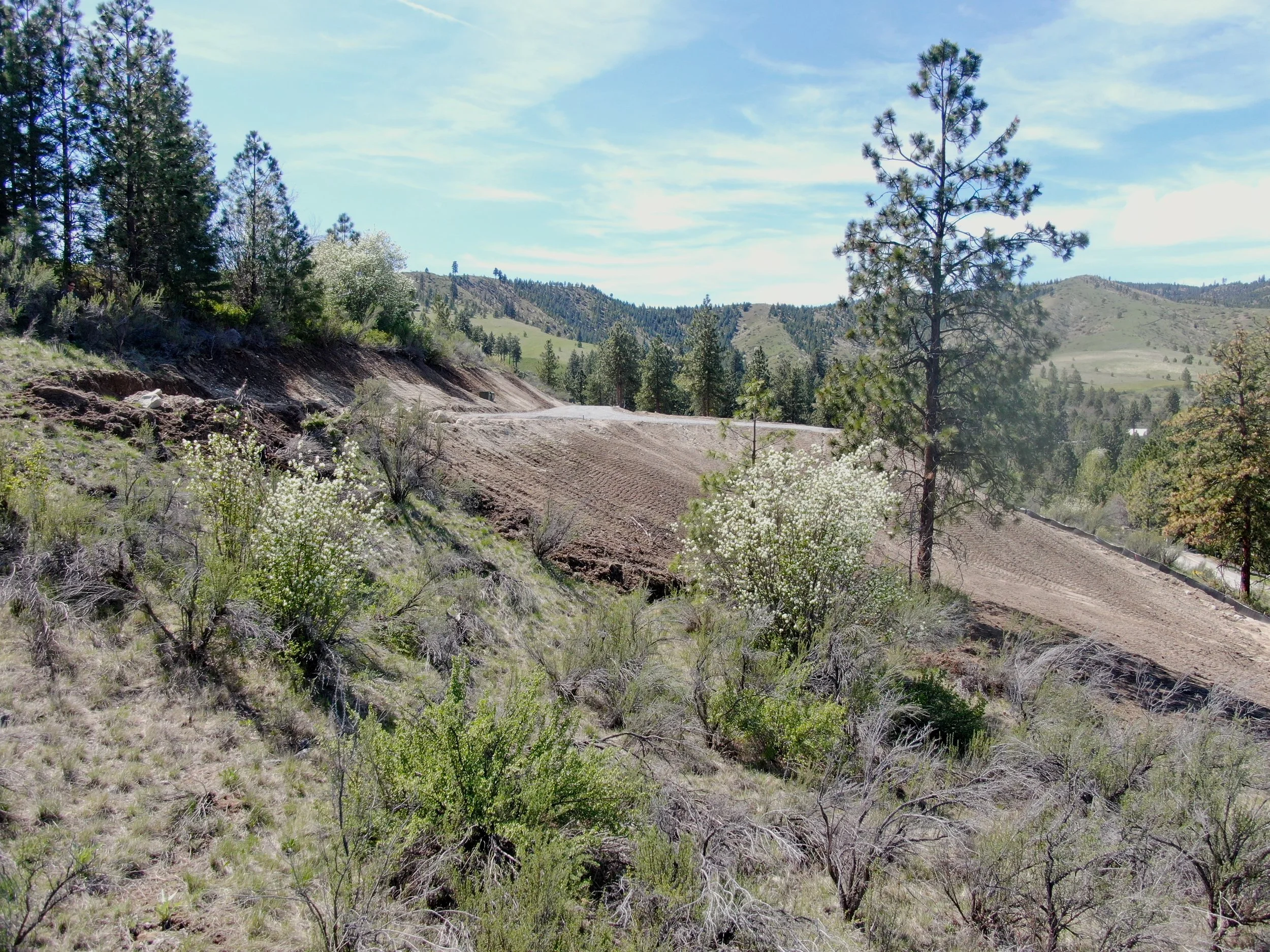 10 DJI_0108.JPG