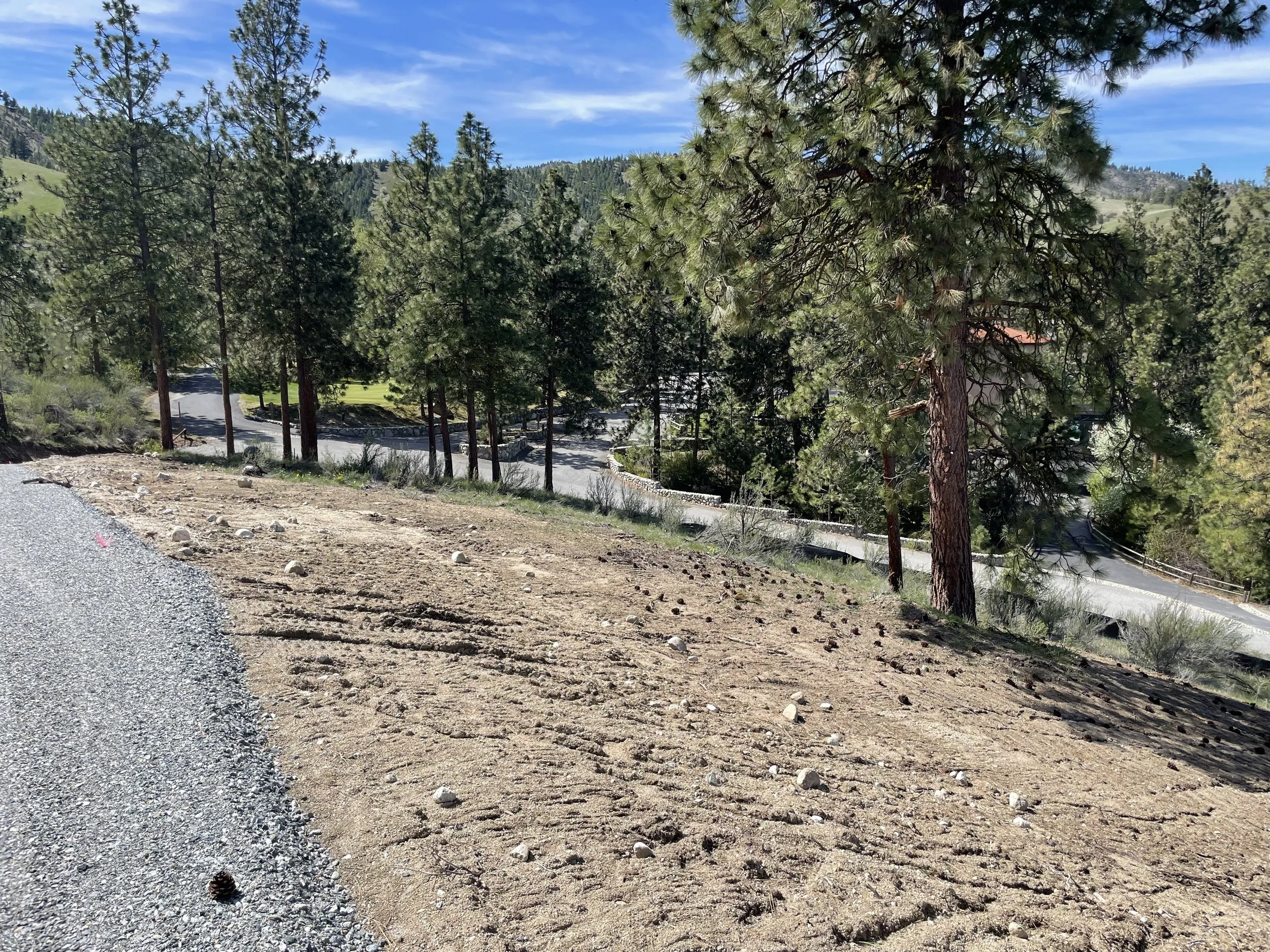 3 IMG_6214.jpeg