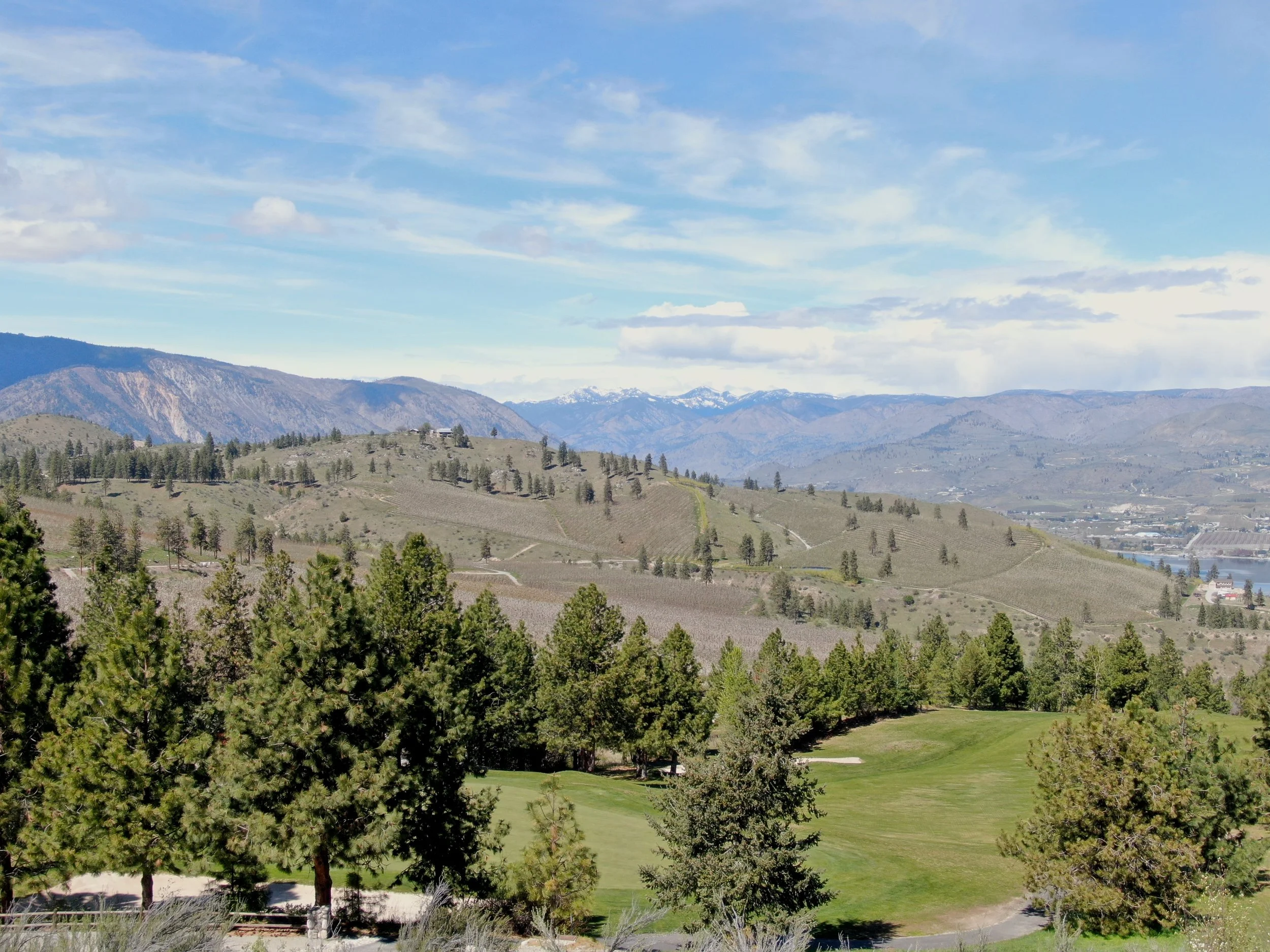 19 DJI_0096.JPG