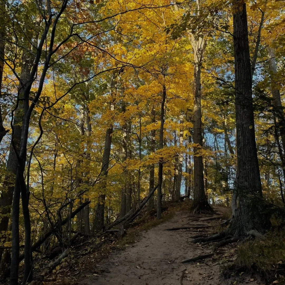Tucked away, but totally worth the visit&mdash;Sanctuary Woods is the perfect fall hike with stunning lake views and changing leaves.
Have you been?

Let&rsquo;s keep sharing local gems that make this place special 🍂