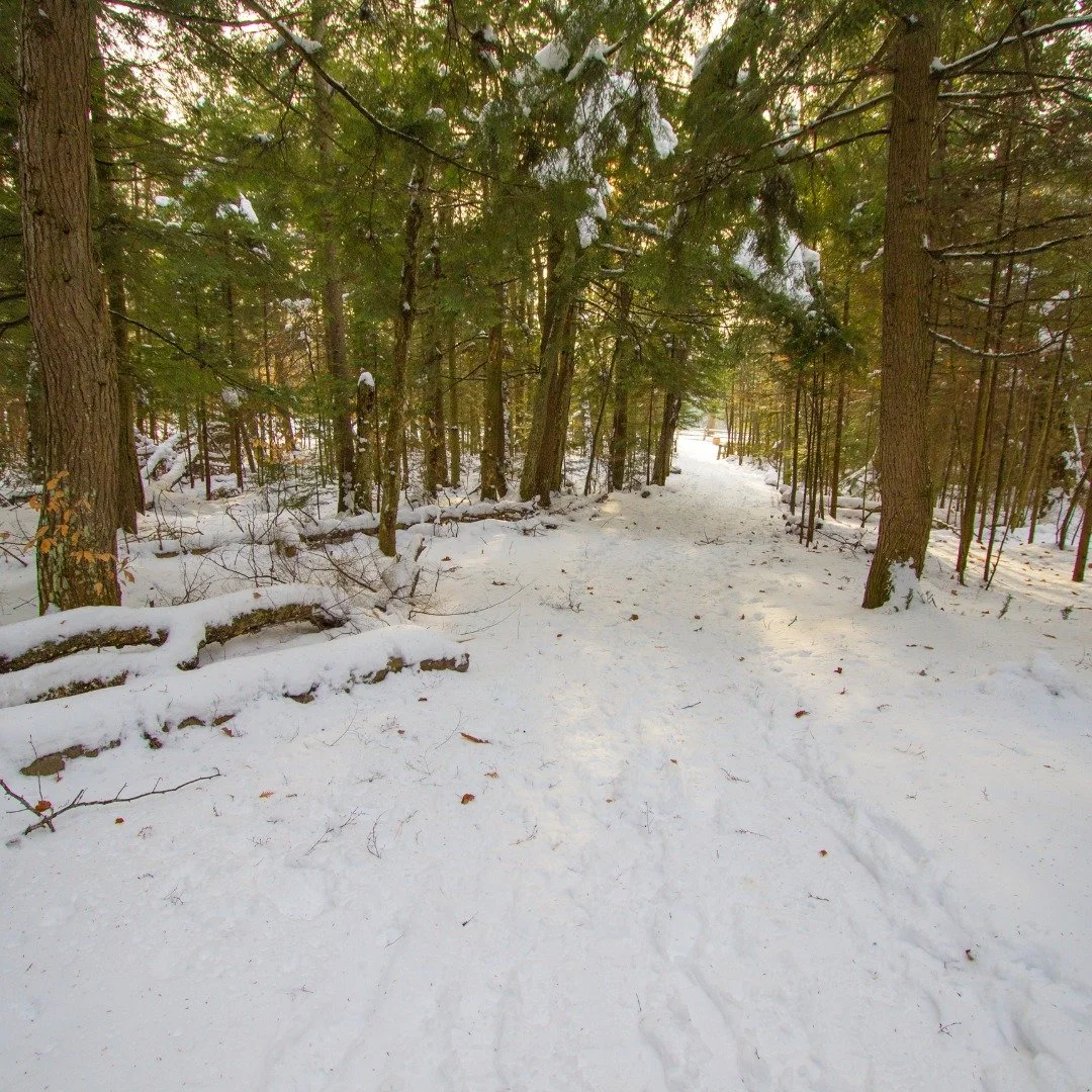There&rsquo;s nothing like winter in West Michigan! 
Snowy trails, frozen lakes, charming downtowns, and cozy nights at home.

Where&rsquo;s your favorite winter spot in West Michigan? ❄️