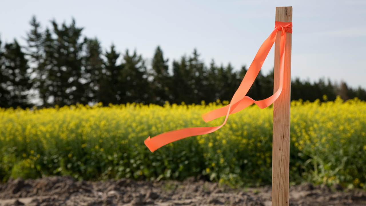 Property Lines Made Simple for Michigan Homeowners