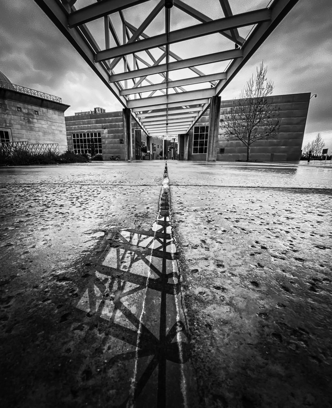 Screenshot 2026-01-14 at 12.55.27 PM.png