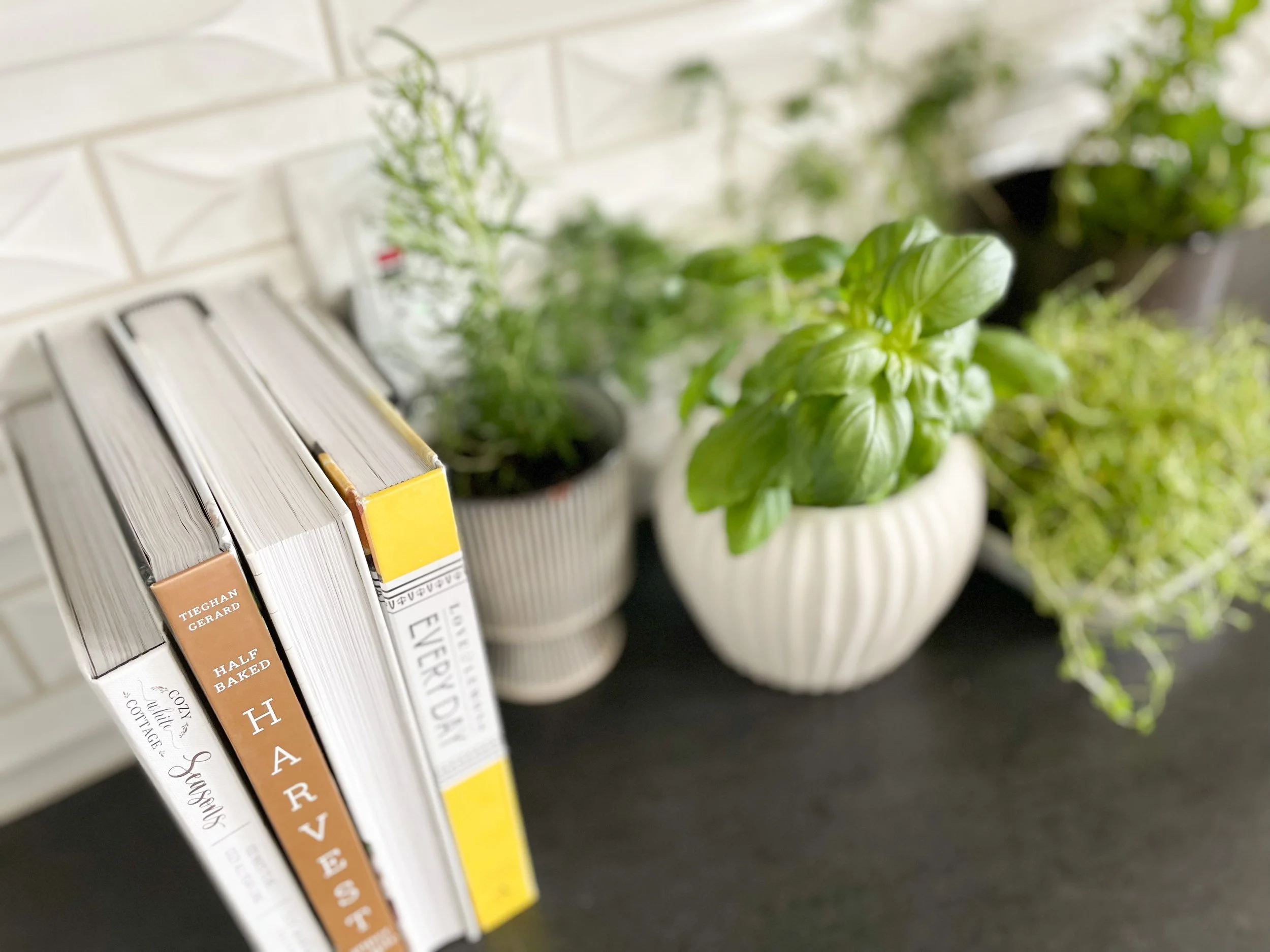 Copy of 734C6AB5-D7BC-47E6-913B-F4D9CC519EFB.jpeg