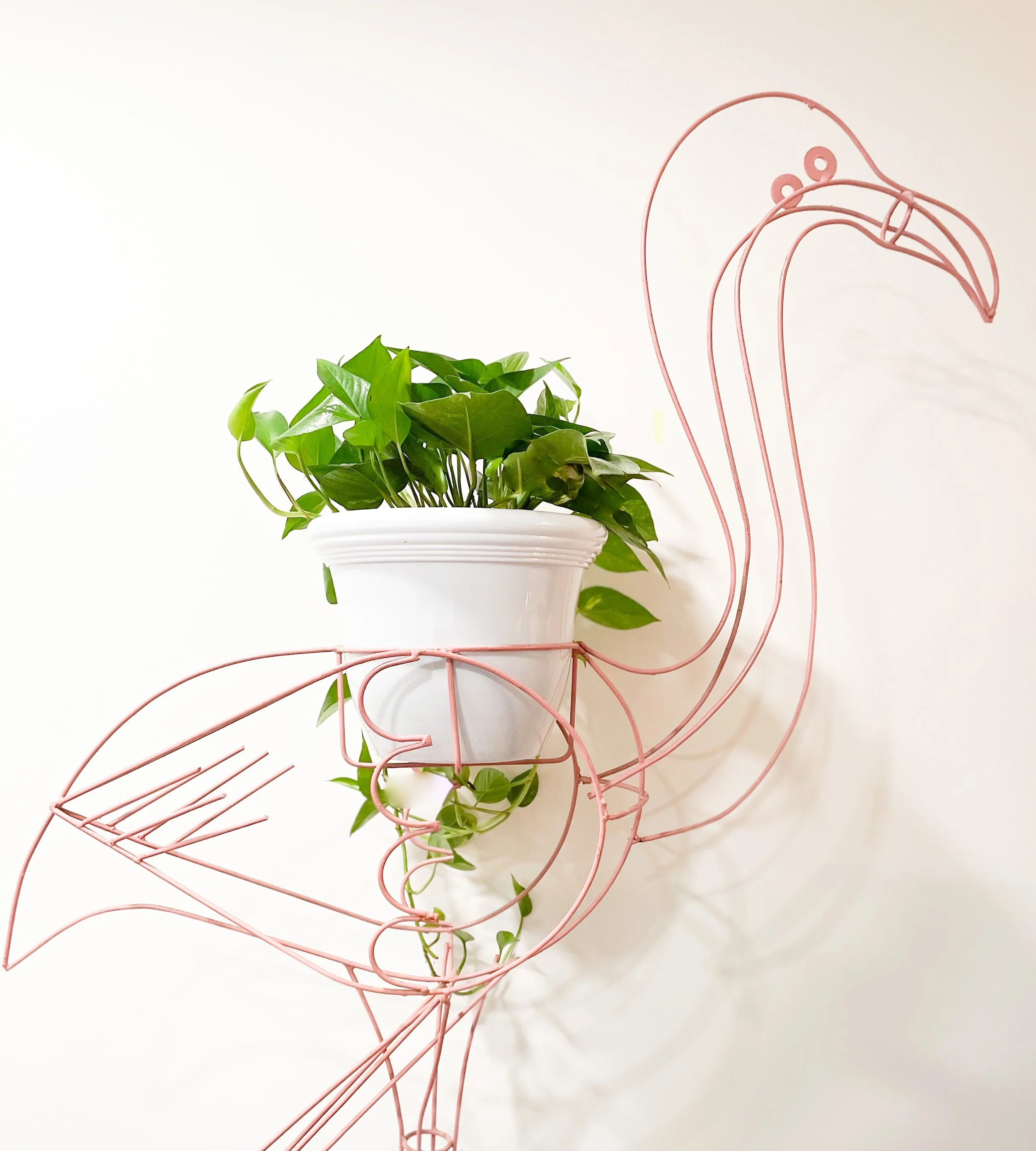 Copy of 27027A68-8FC6-475D-B6EF-19726A4B8BF0.JPEG