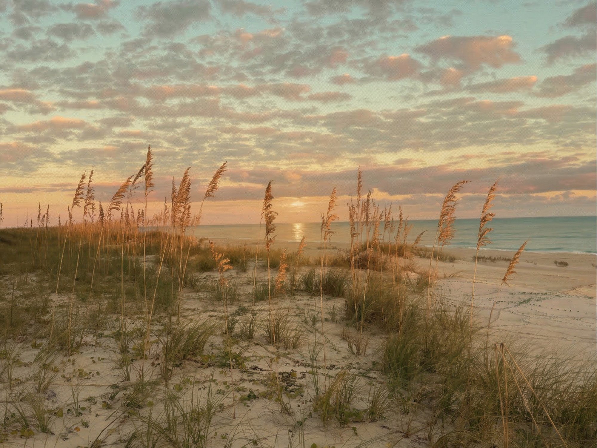 34 Sea Oats at Sunset at SGI