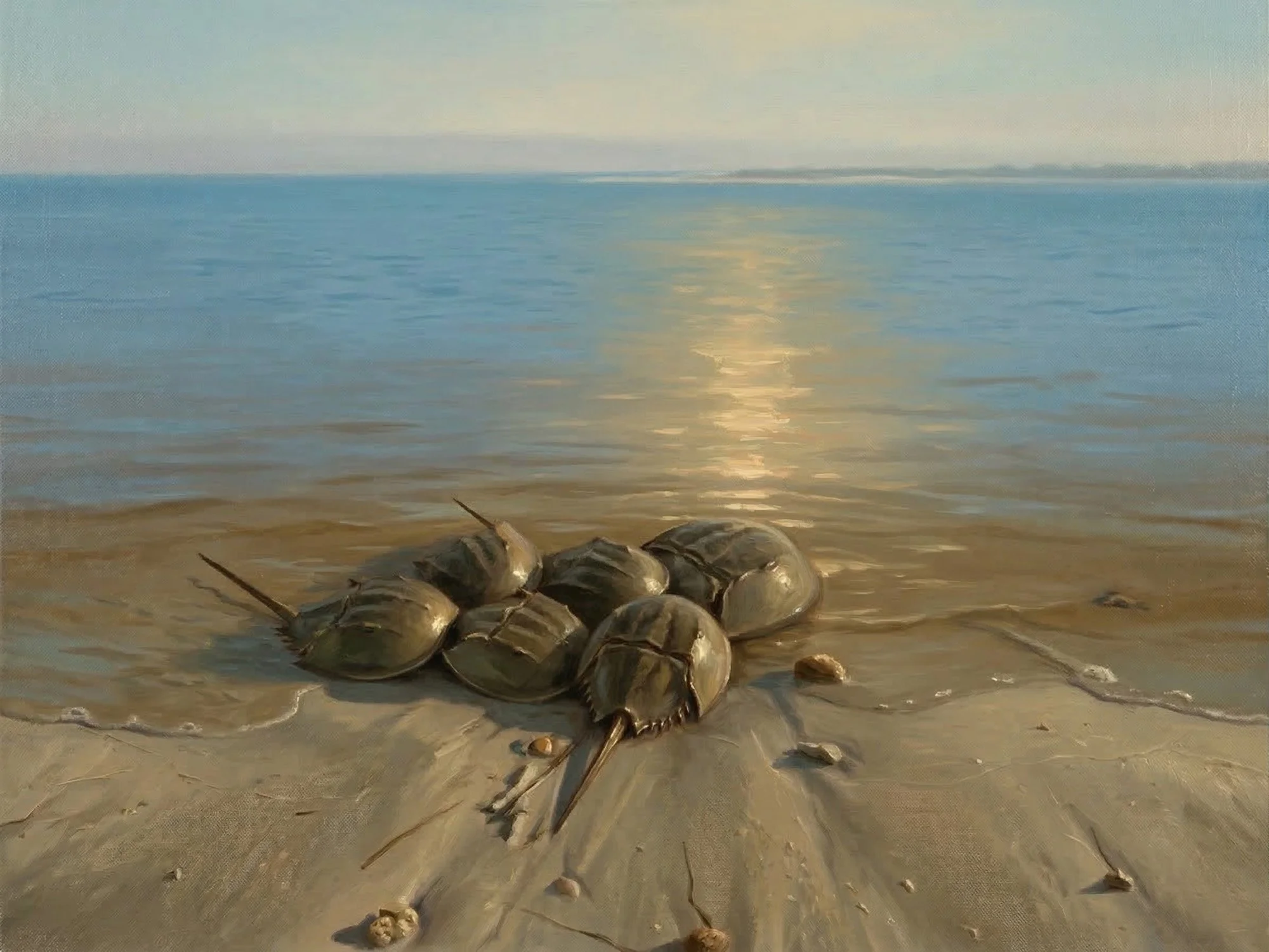 33 The Gathering of Ancient Travelers at St. Teresa