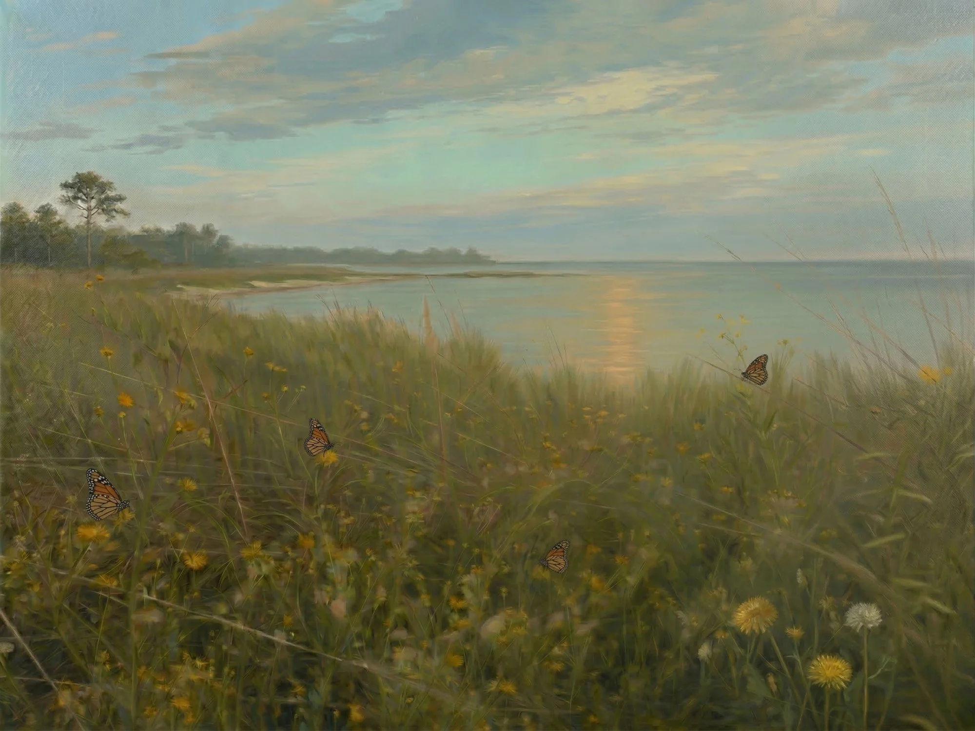 23 Meadow to the Gulf Butterflies at St. Teresa