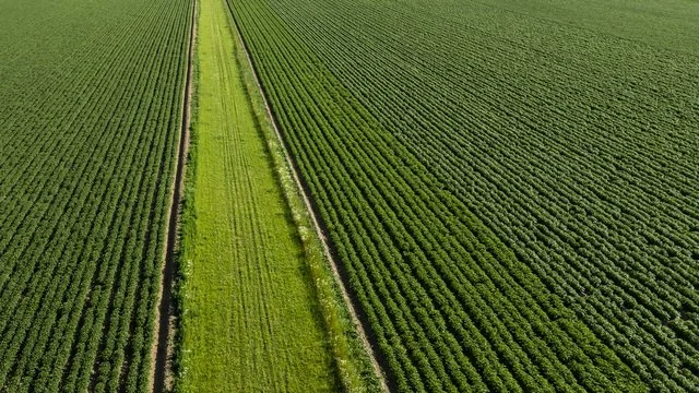 🎬 Projekt pokračuje – tentokrát v rytmu přírody