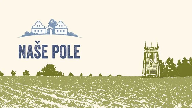 Z polí až na stůl: natáčeli jsme příběh jihočeských brambůrek