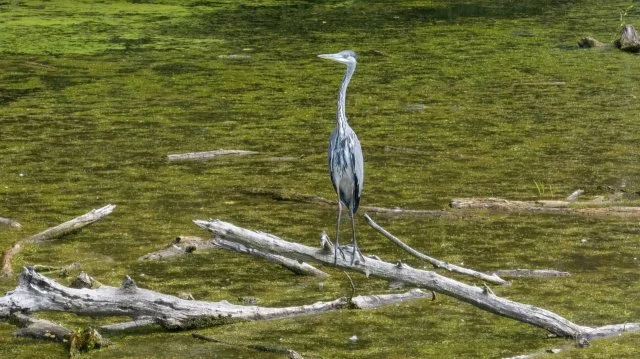 Krátké dokumenty ze stavebnictví