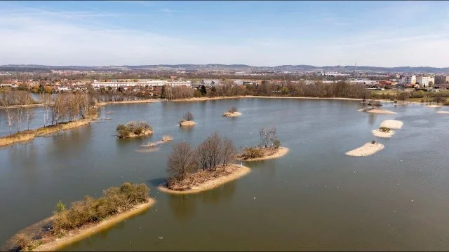 Videodokument revitalizace Vrbenských rybníků