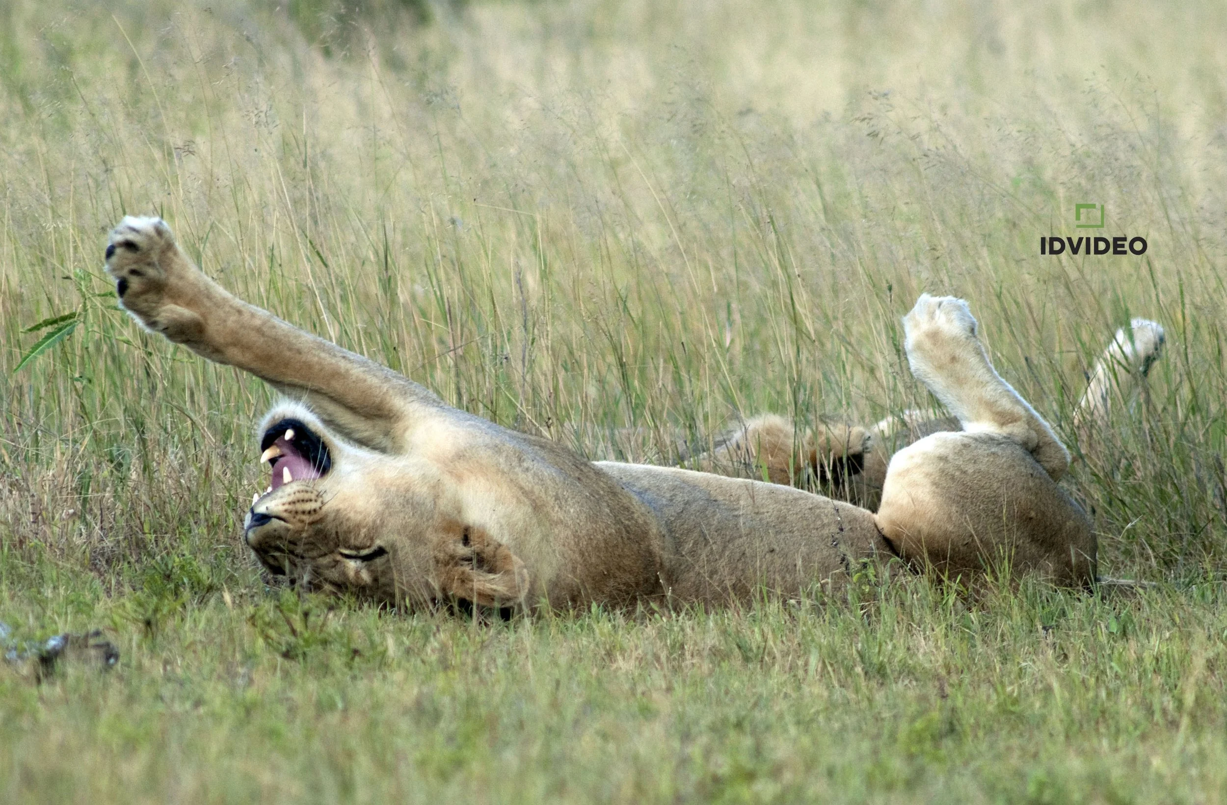 Poznáváme svět, abychom ho mohli vyprávět vám.