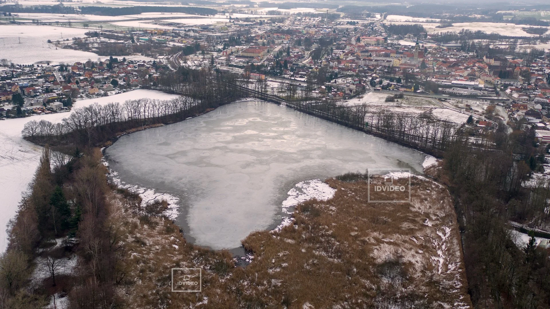 Zahájení ozdravné kůry přírodního klenotu