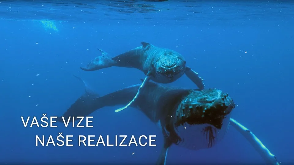 Naše práce v jedné minutě