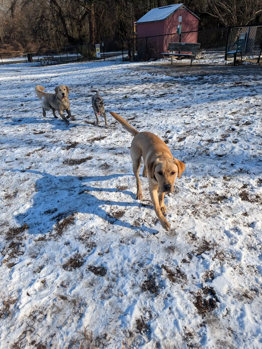 Screenshot 2026-02-05 at 01-02-32 PXL_20251216_174139162.jpg - Google Drive.png