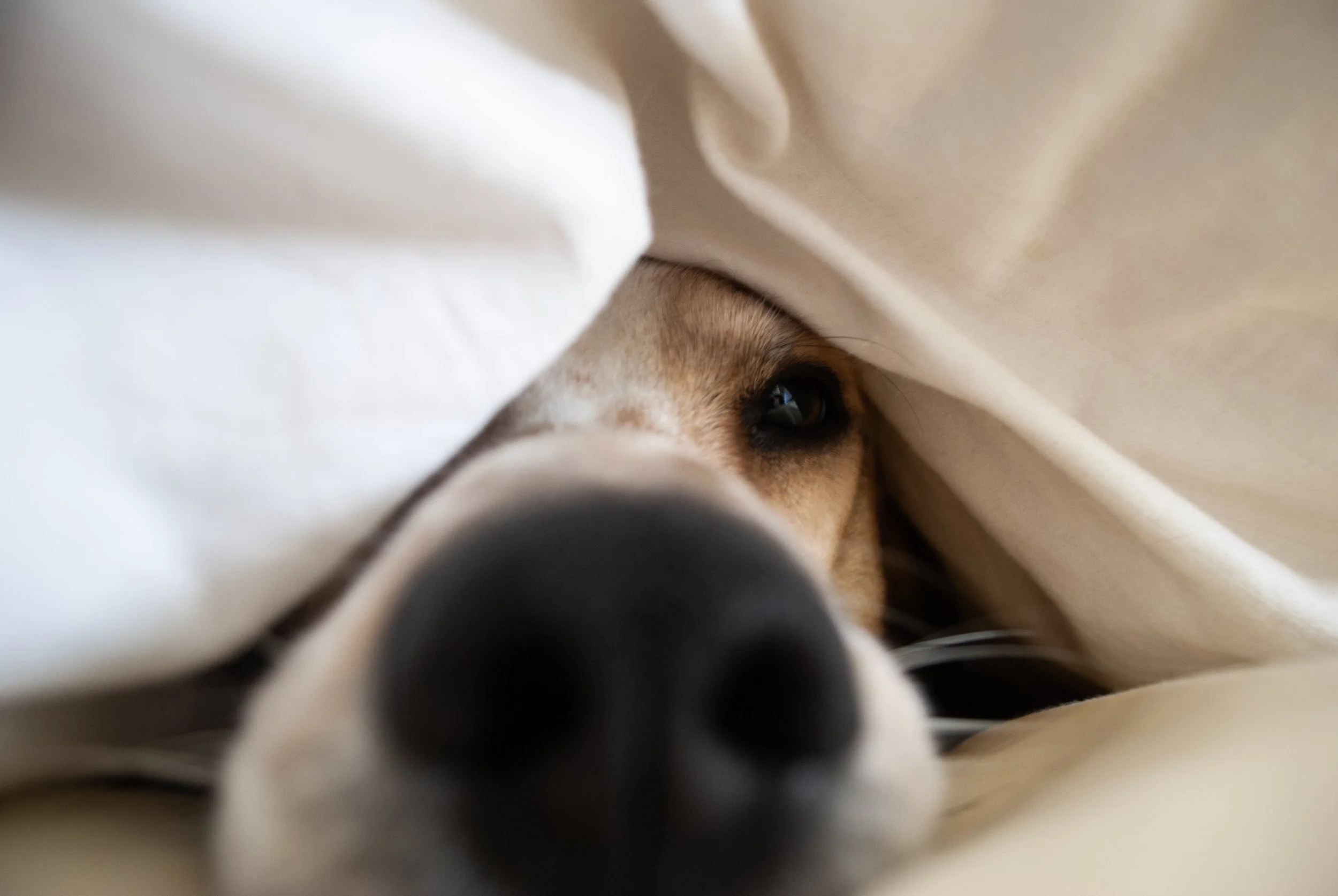 Cooper 2011_0072.JPG