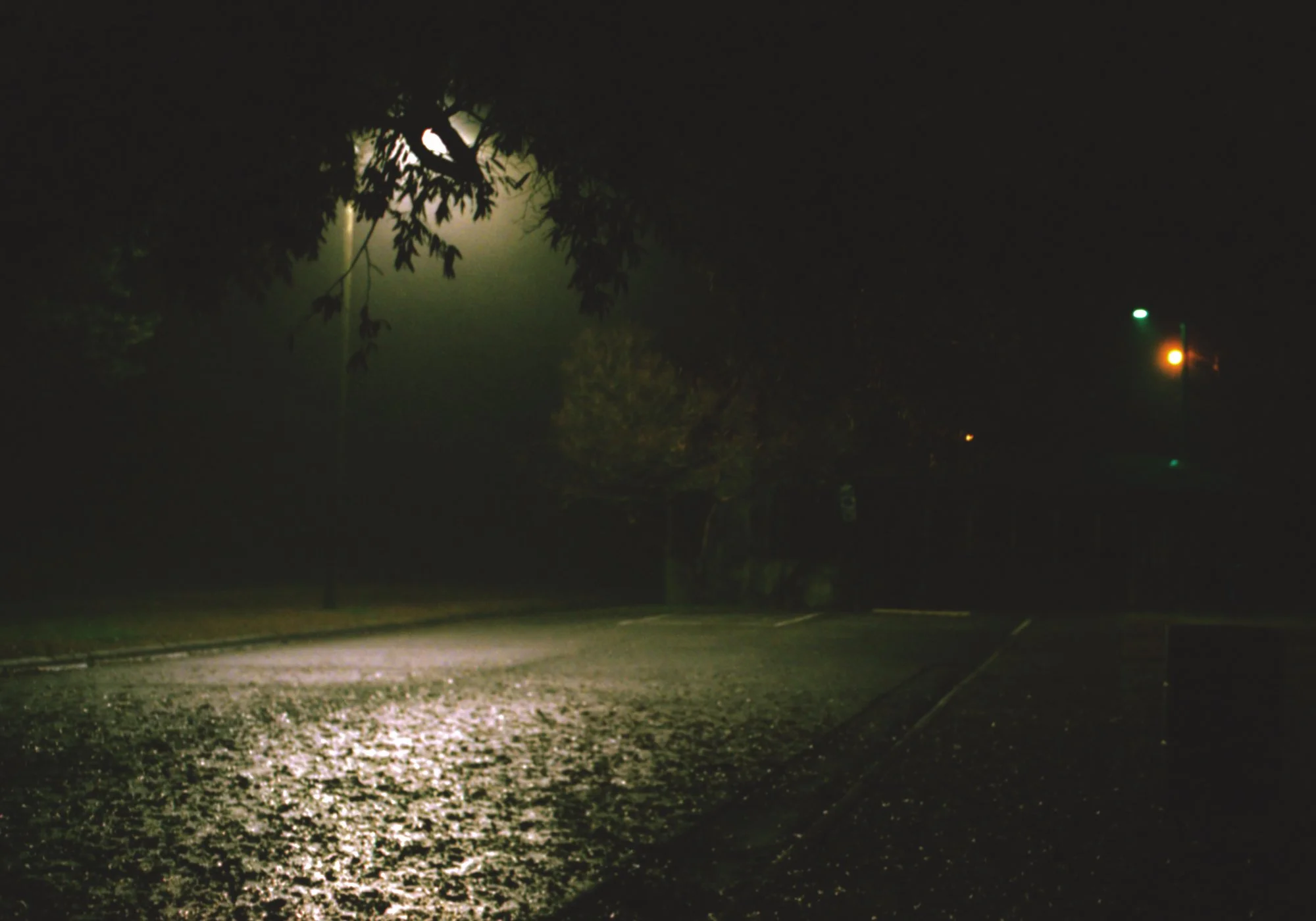 Dec 2019_Portra400_0003_2000px.JPG