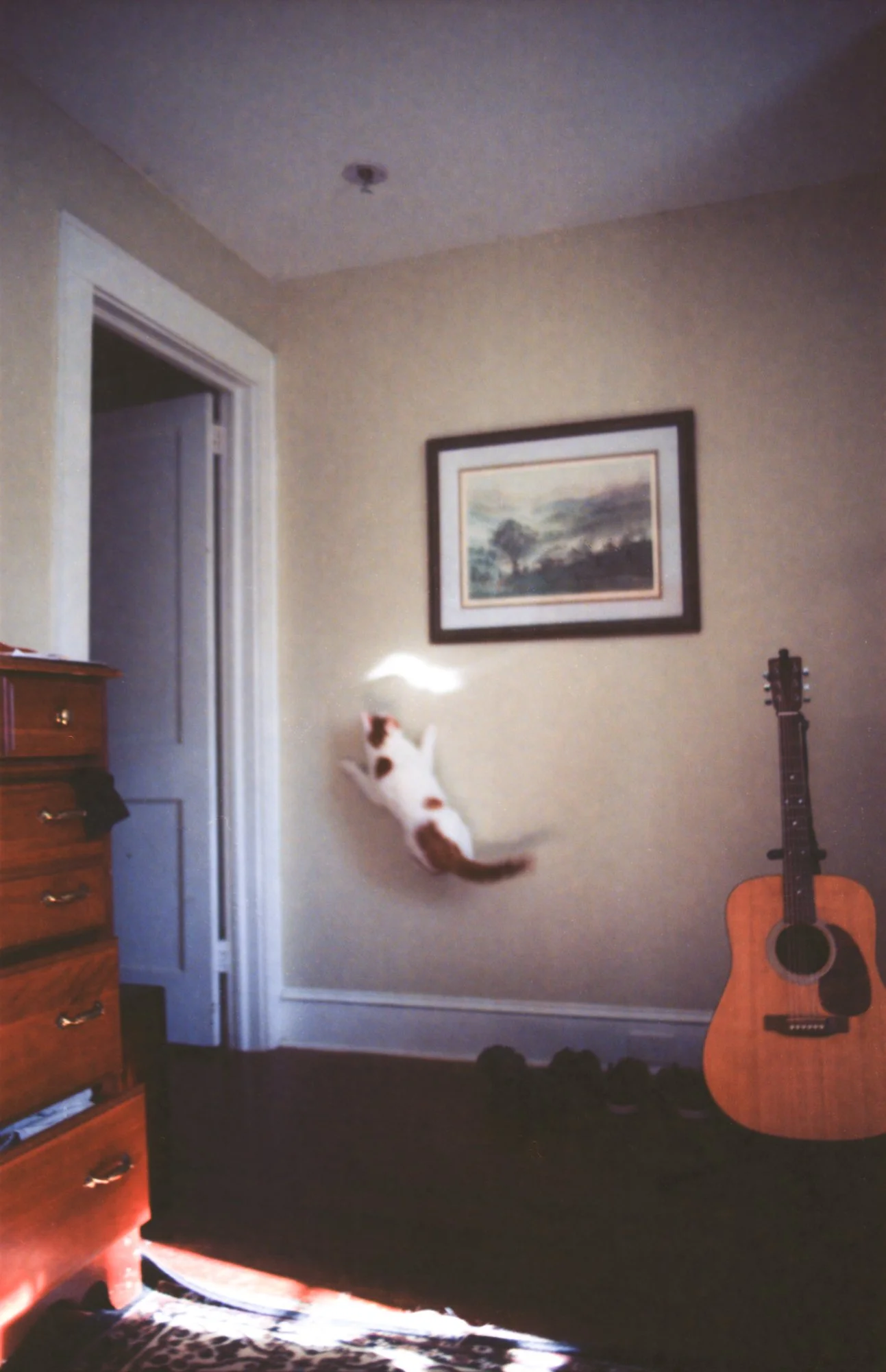 Dec 2019_Ektar100_0007_2000px.JPG