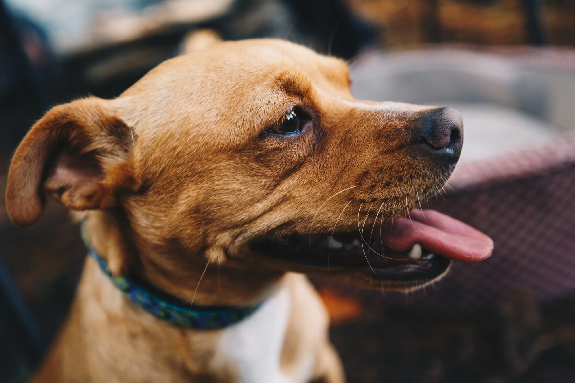 2020_10_30_12 daisyncoop_5584.JPG