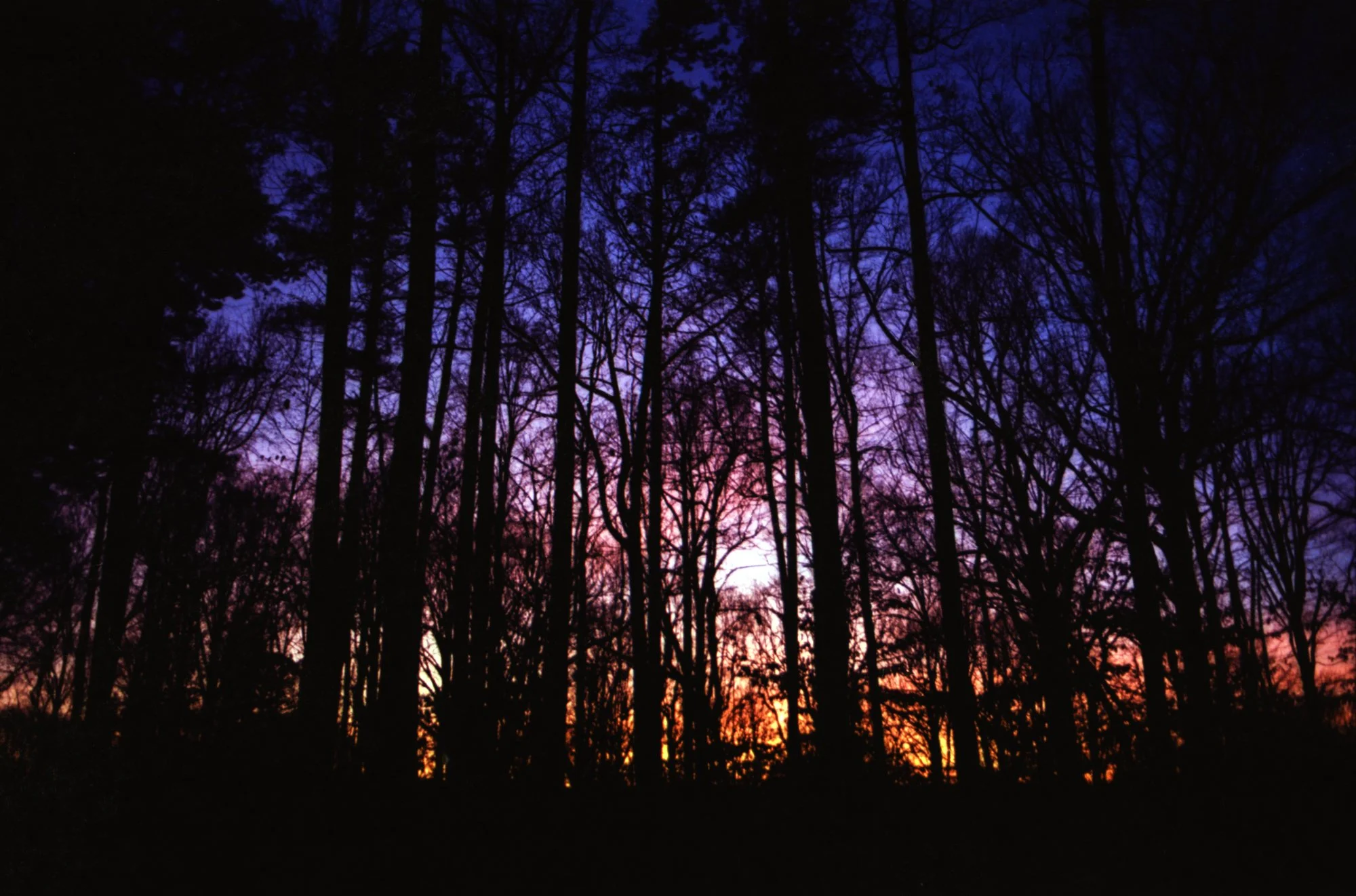 Dec 2019_Ektar100_0004_2000px.JPG