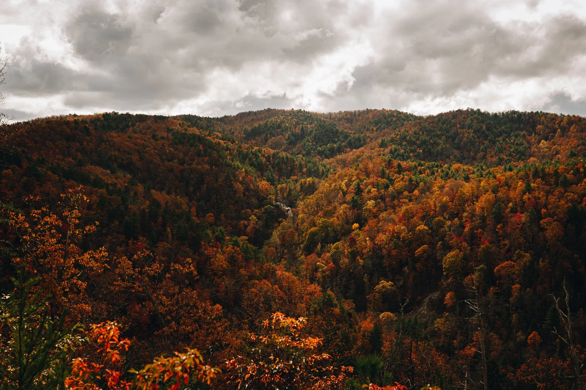 2020_11_9_12 bostic_airstream_6558.JPG