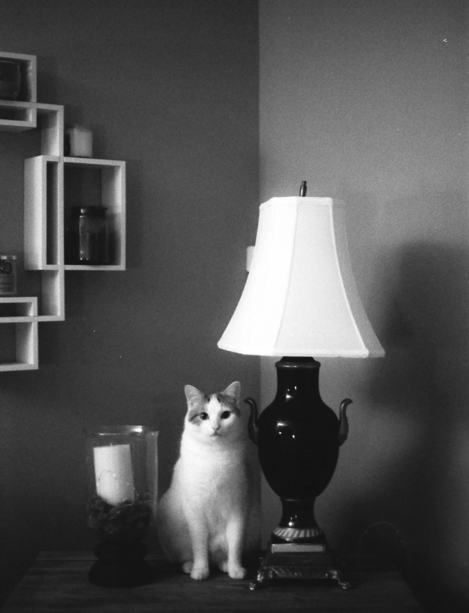 Dec 2019_Ilford400_0002_2000px.JPG