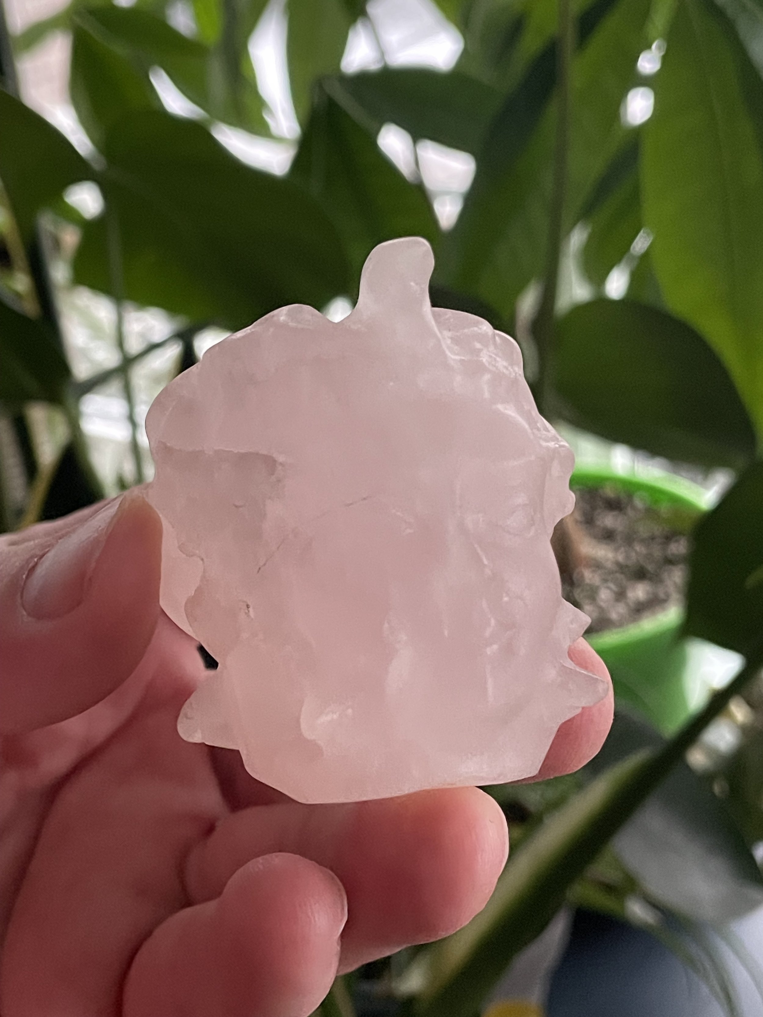 Rose Quartz Medusa
