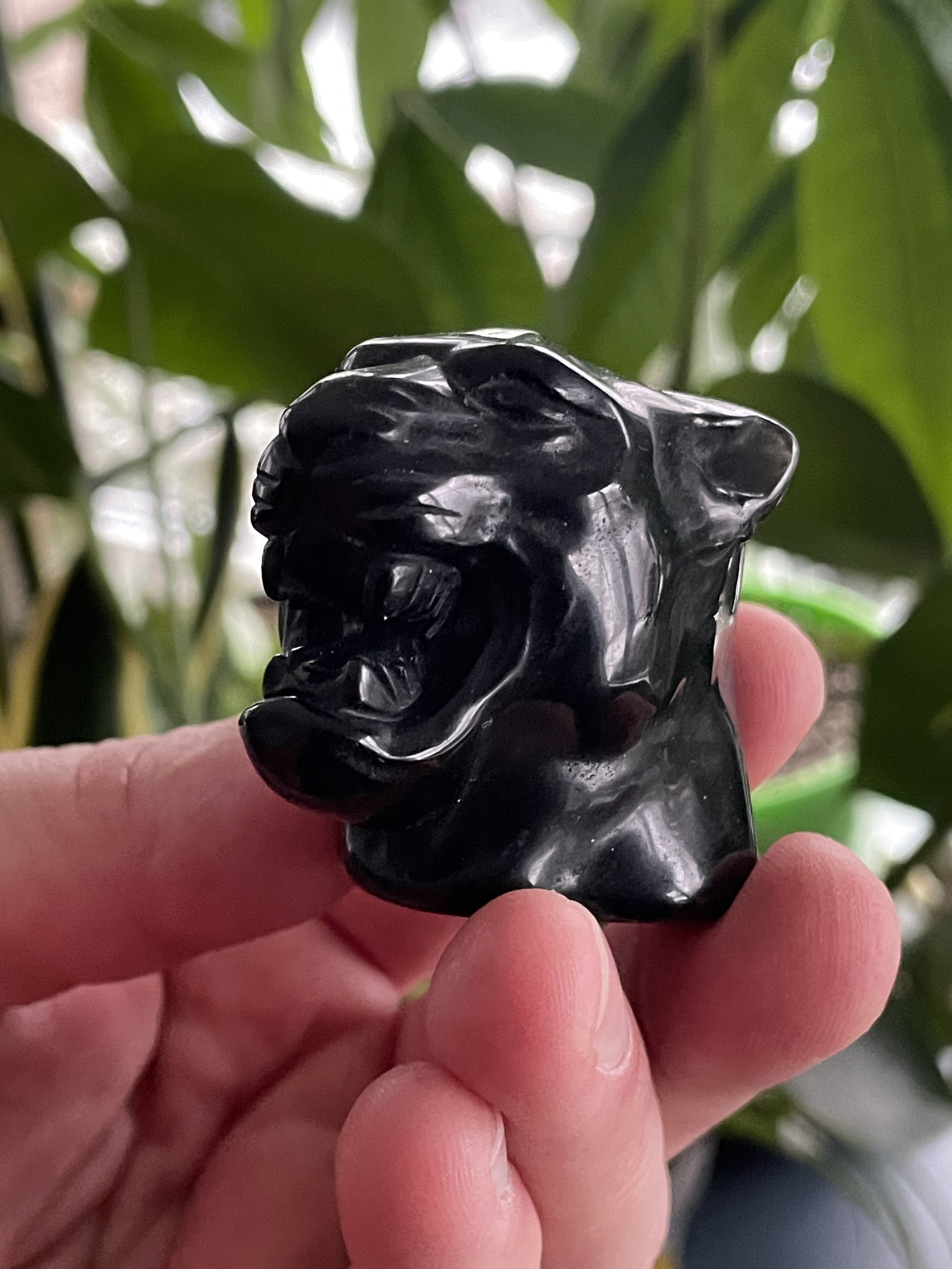 Obsidian Jaguar Head