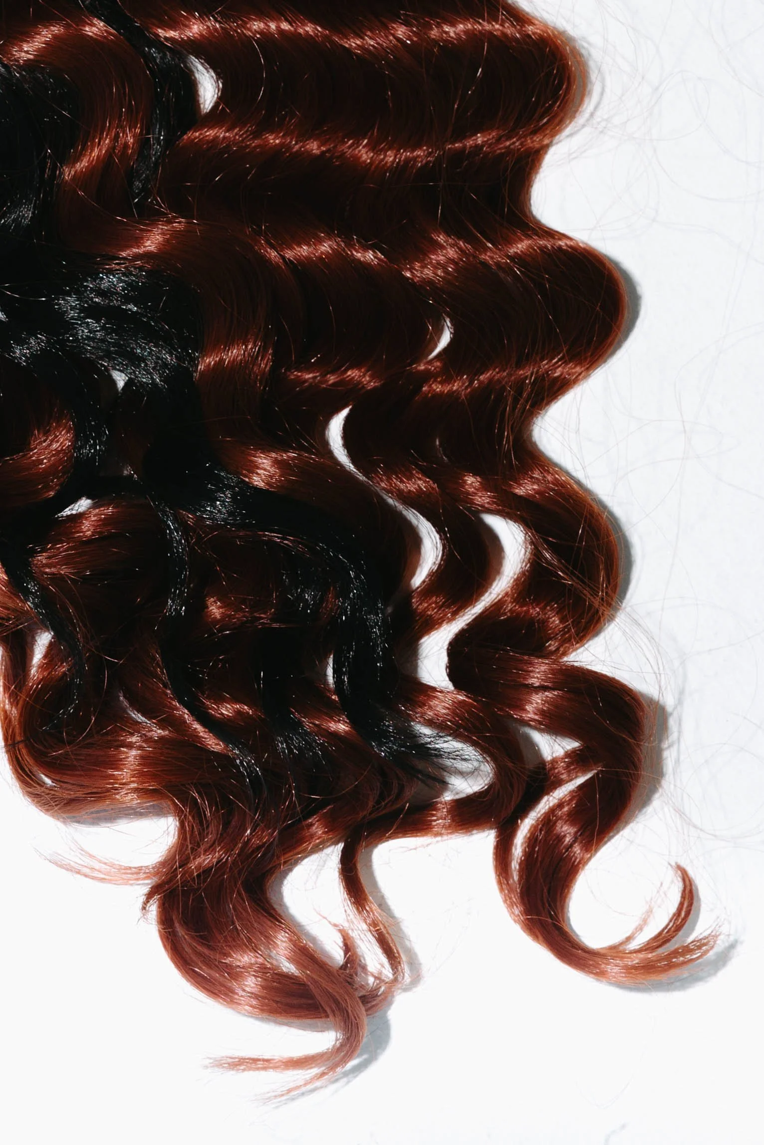 4V2A0483EMILY MORGAN PHOTOGRAPHY.jpg