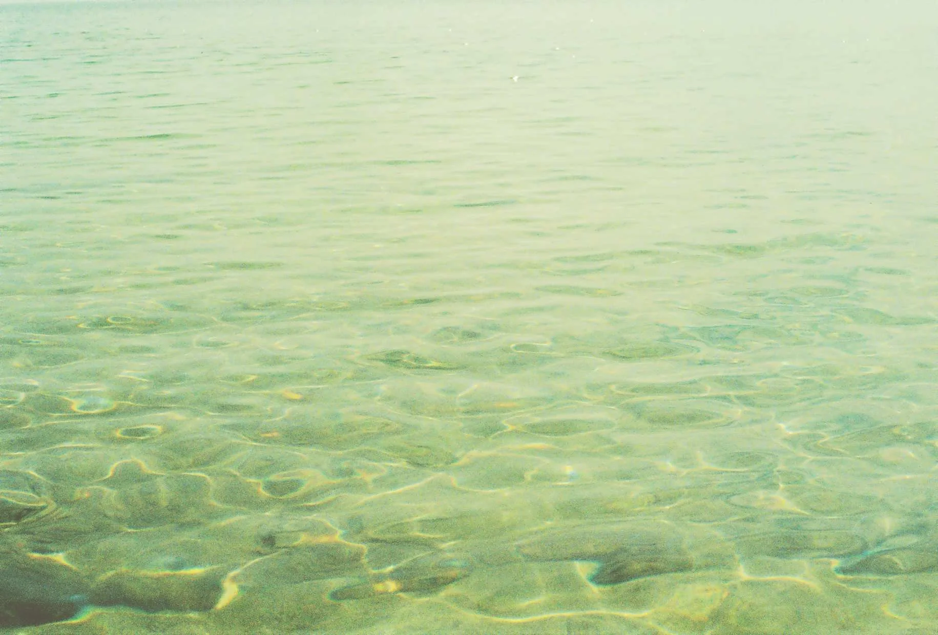 Calm clear ocean water with a sandy bottom visible.
